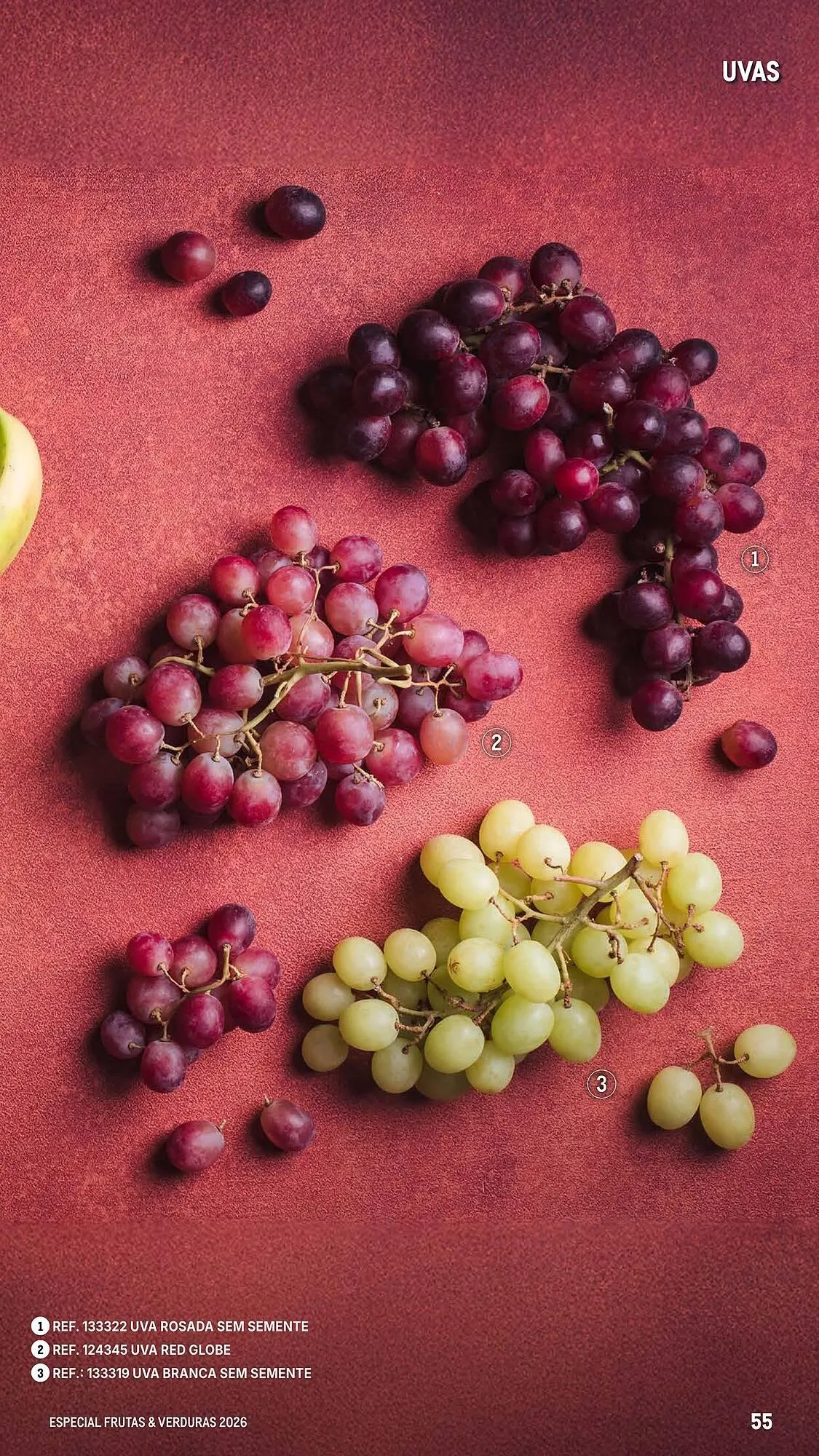 Folheto Catálogo Makro de 6 de março até 25 de abril 2026 - Pagina 55