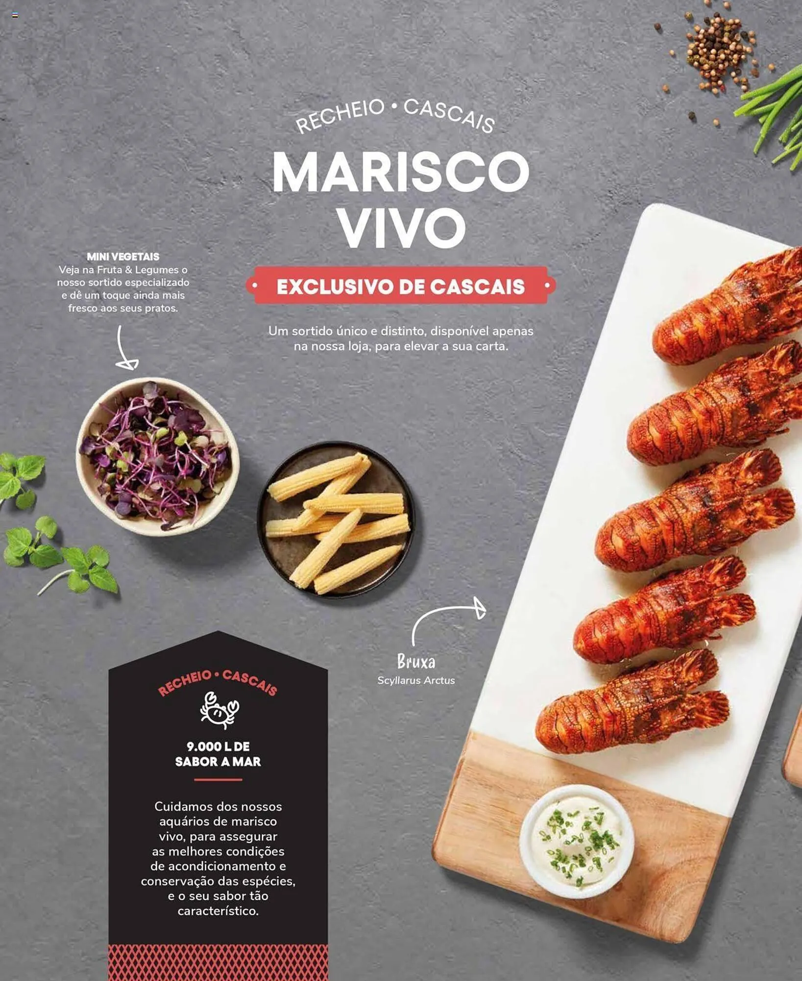 Folheto Folheto Recheio de 19 de setembro até 31 de dezembro 2025 - Pagina 26