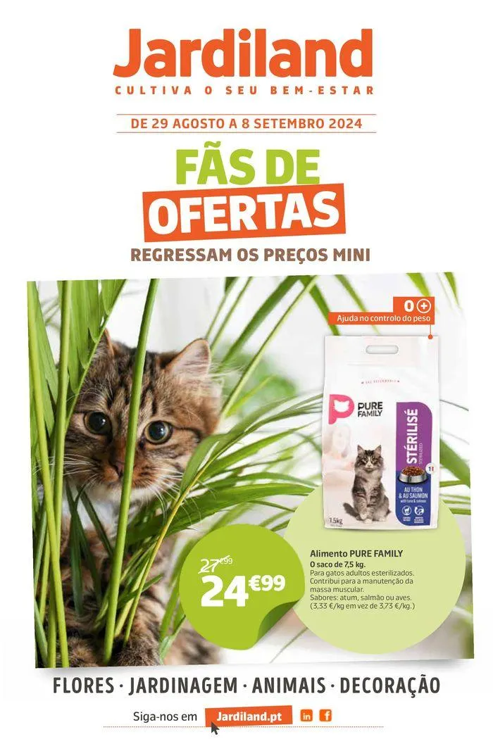 Fãs de ofertas - 1