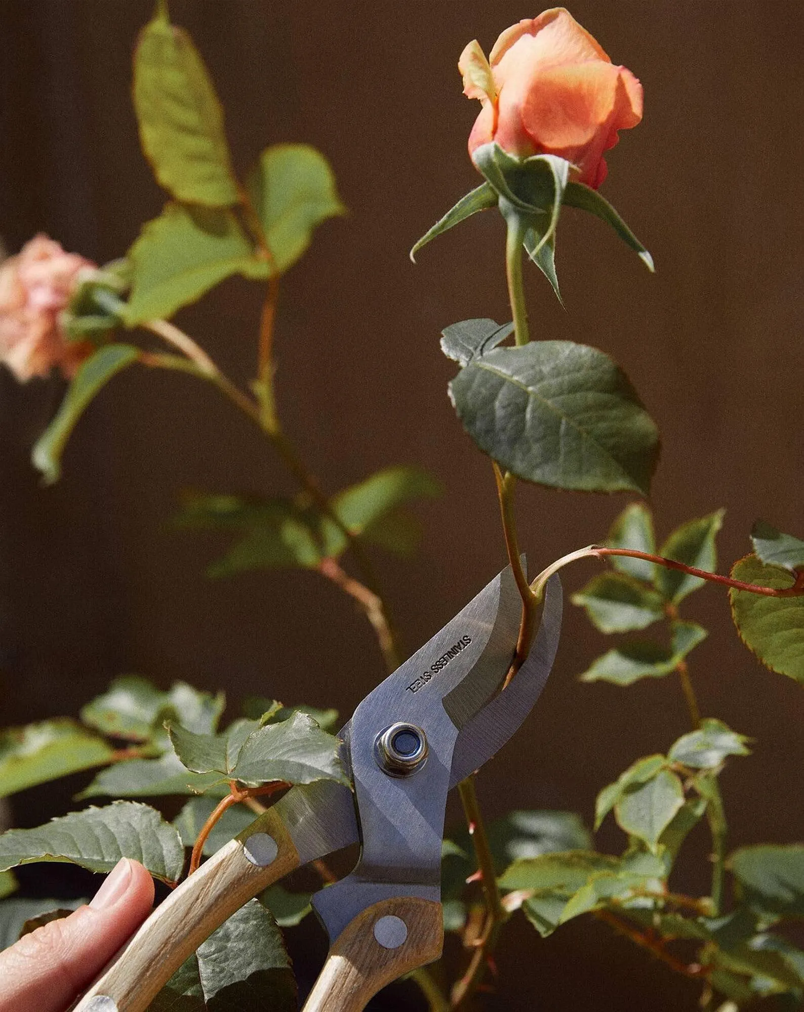 Folheto Folheto ZARA HOME de 25 de abril até 4 de maio 2024 - Pagina 3