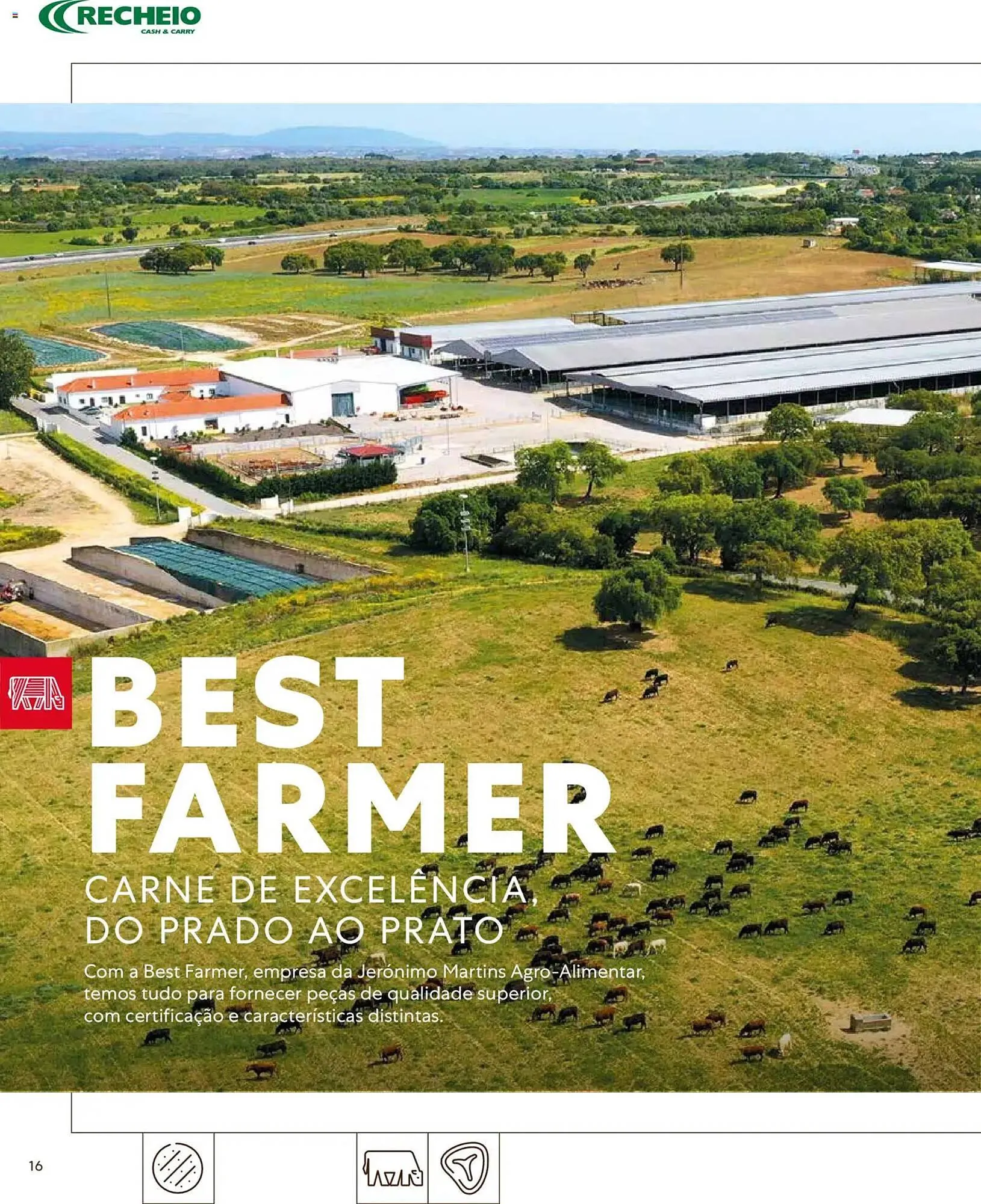 Folheto Folheto Recheio de 16 de março até 1 de janeiro 2027 - Pagina 16