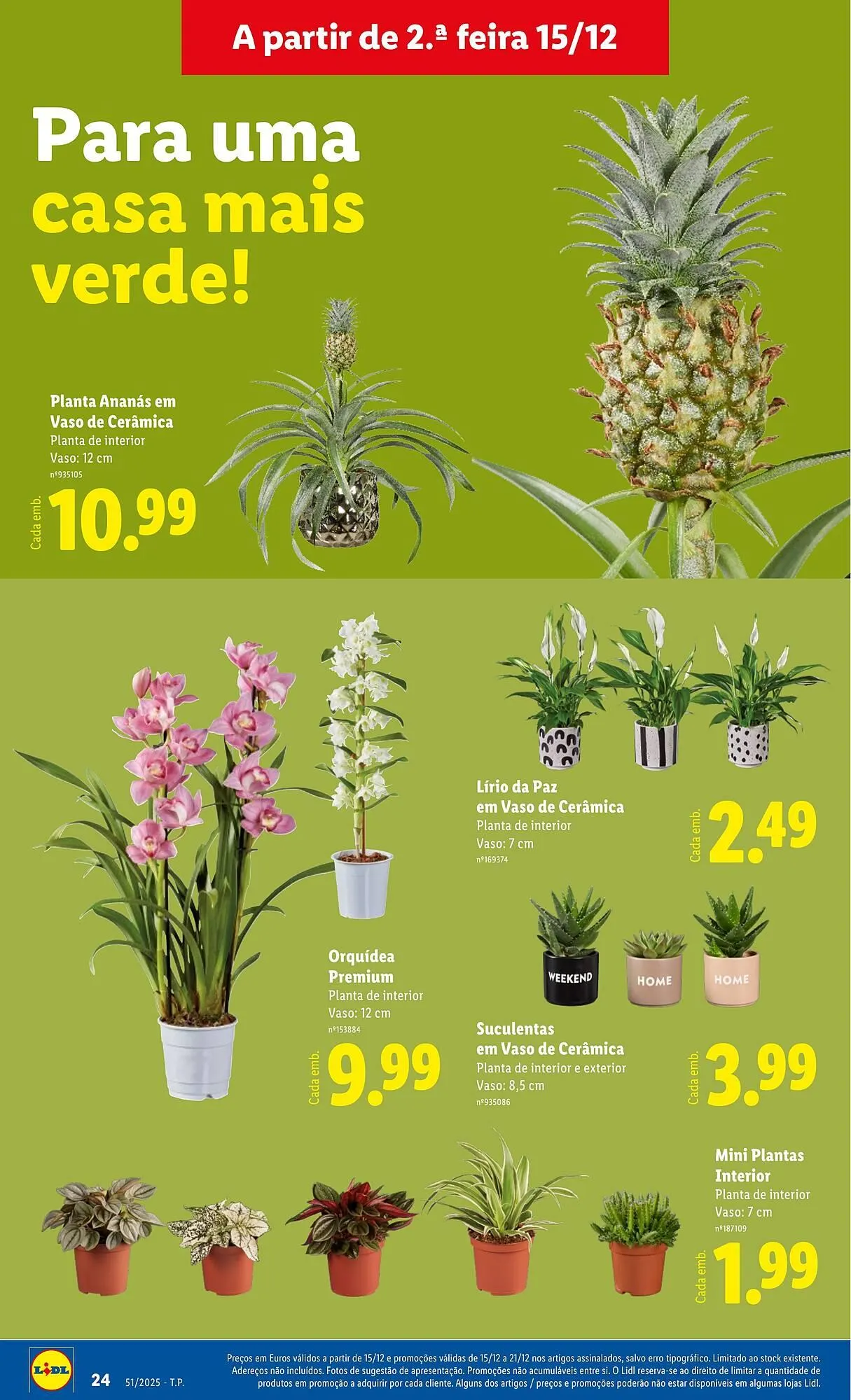 Folheto Folheto Lidl de 15 de dezembro até 21 de dezembro 2025 - Pagina 24