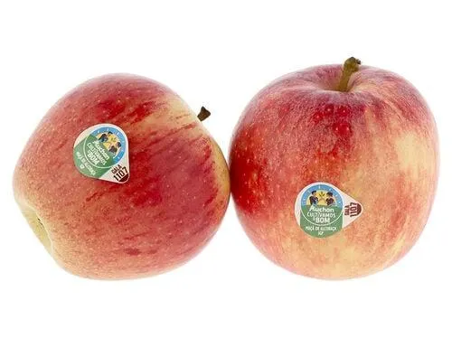 maçã gala de alcobaça igp auchan cultivamos o bom kg