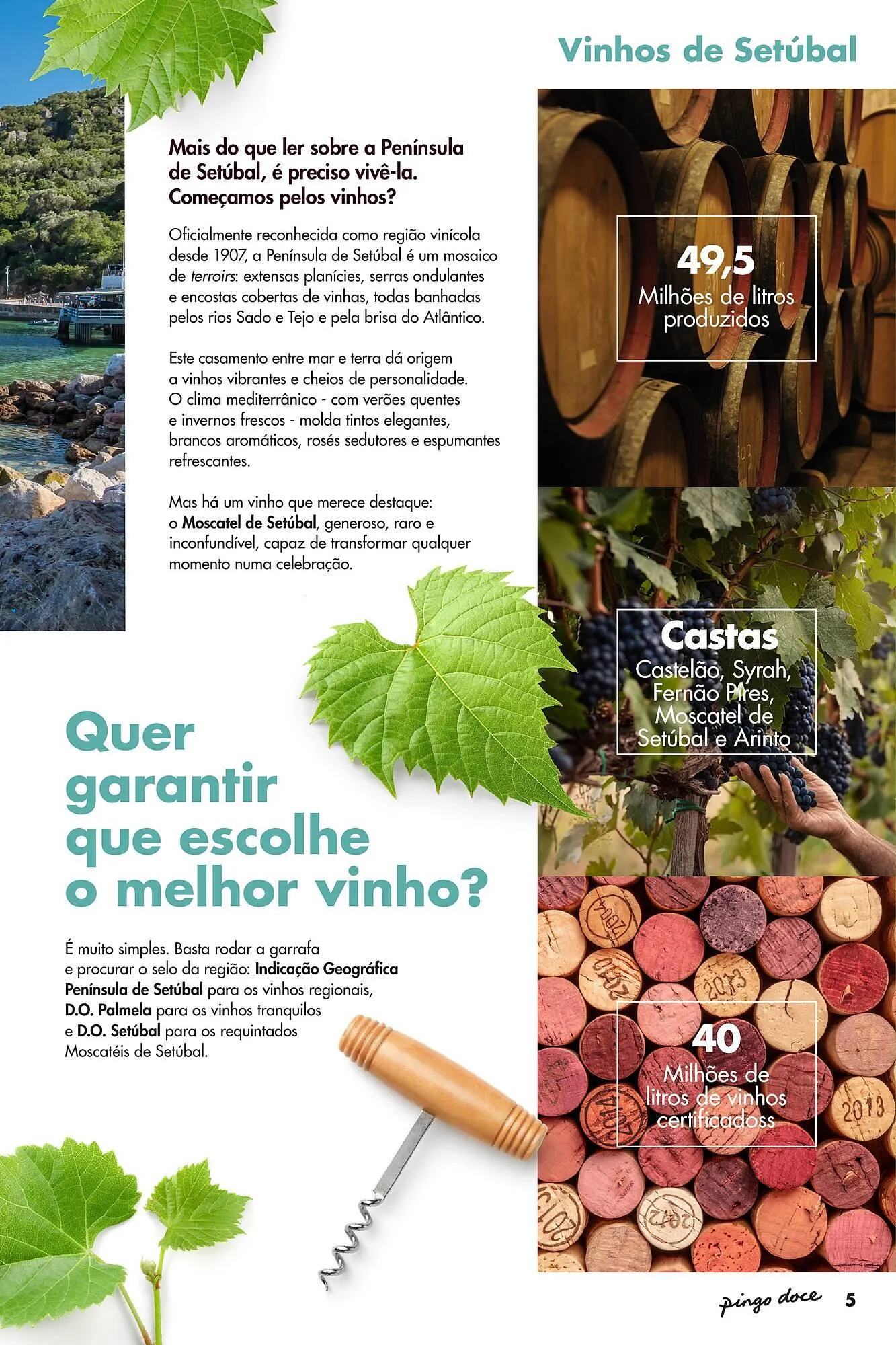 Folheto Folheto Pingo Doce de 5 de maio até 25 de maio 2026 - Pagina 5