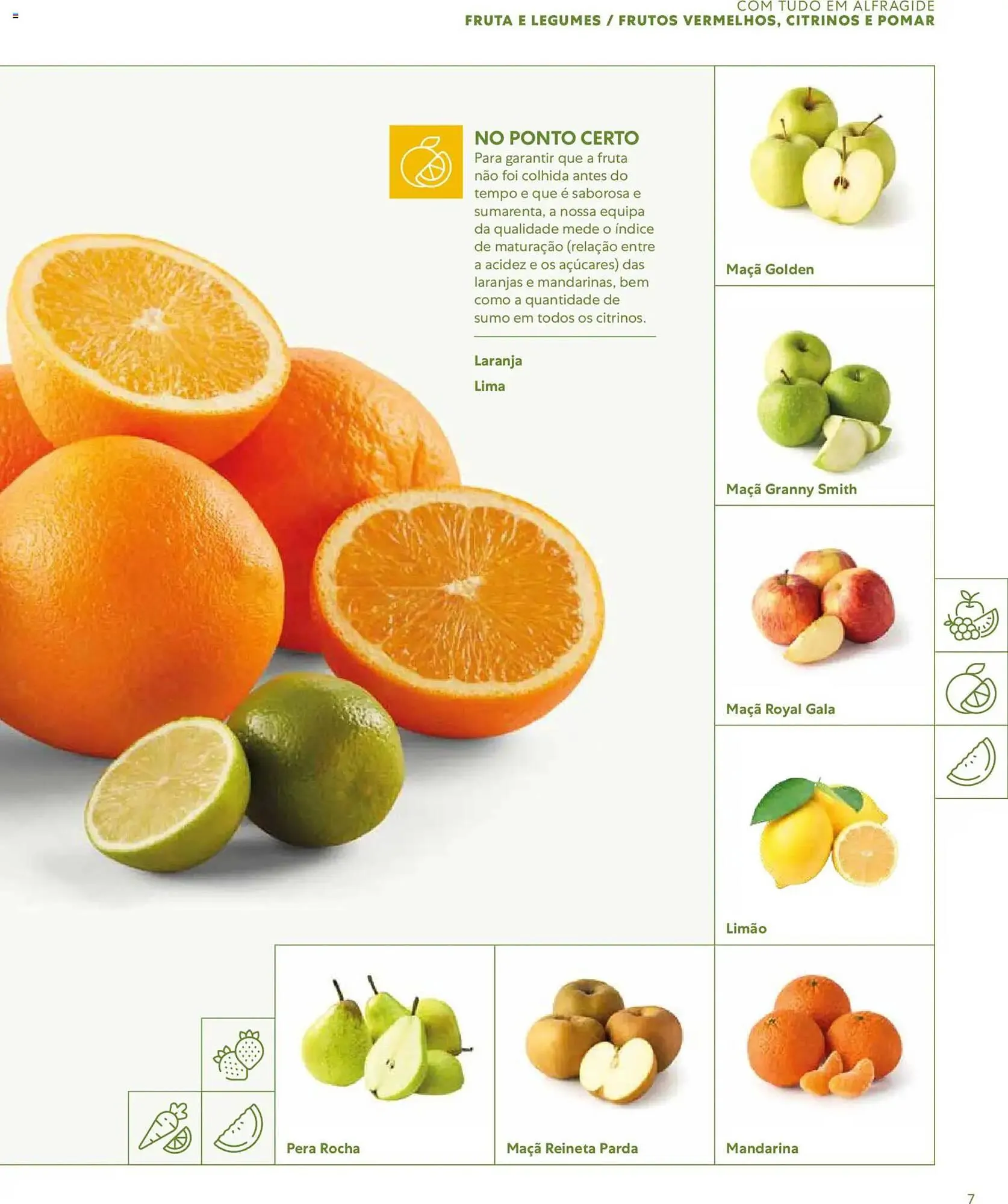 Folheto Folheto Recheio de 16 de março até 1 de janeiro 2027 - Pagina 7