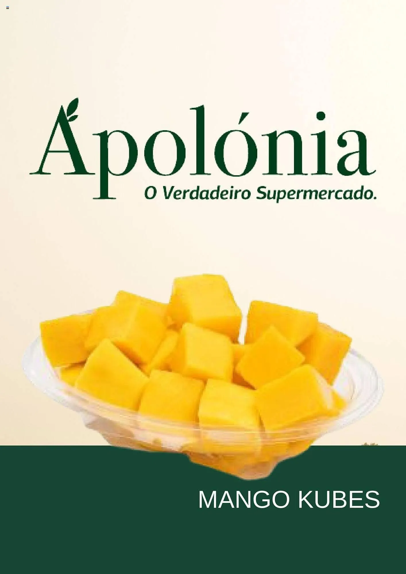 Folheto Apolónia - 1