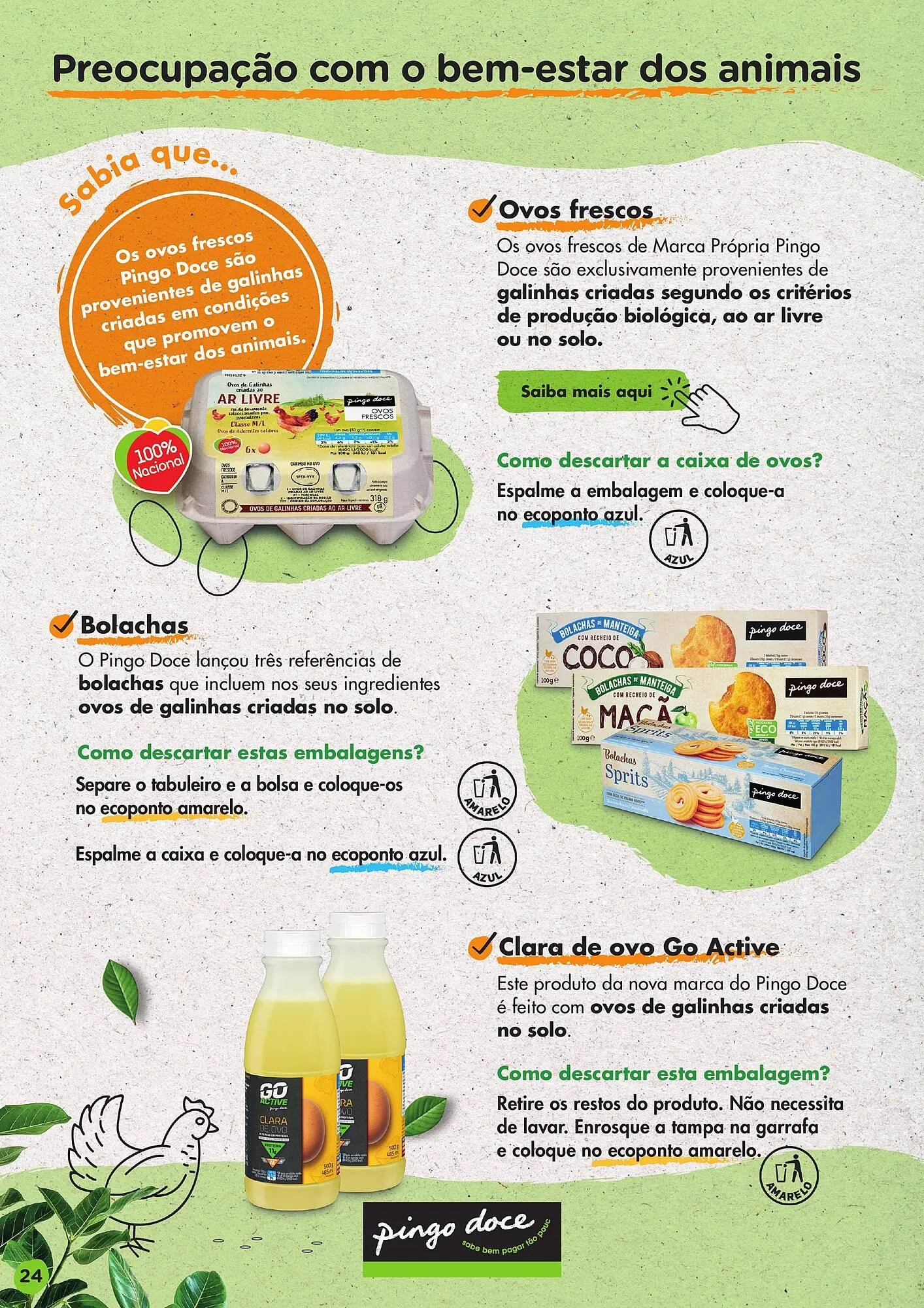 Folheto Folheto Pingo Doce de 2 de março até 3 de janeiro 2026 - Pagina 24