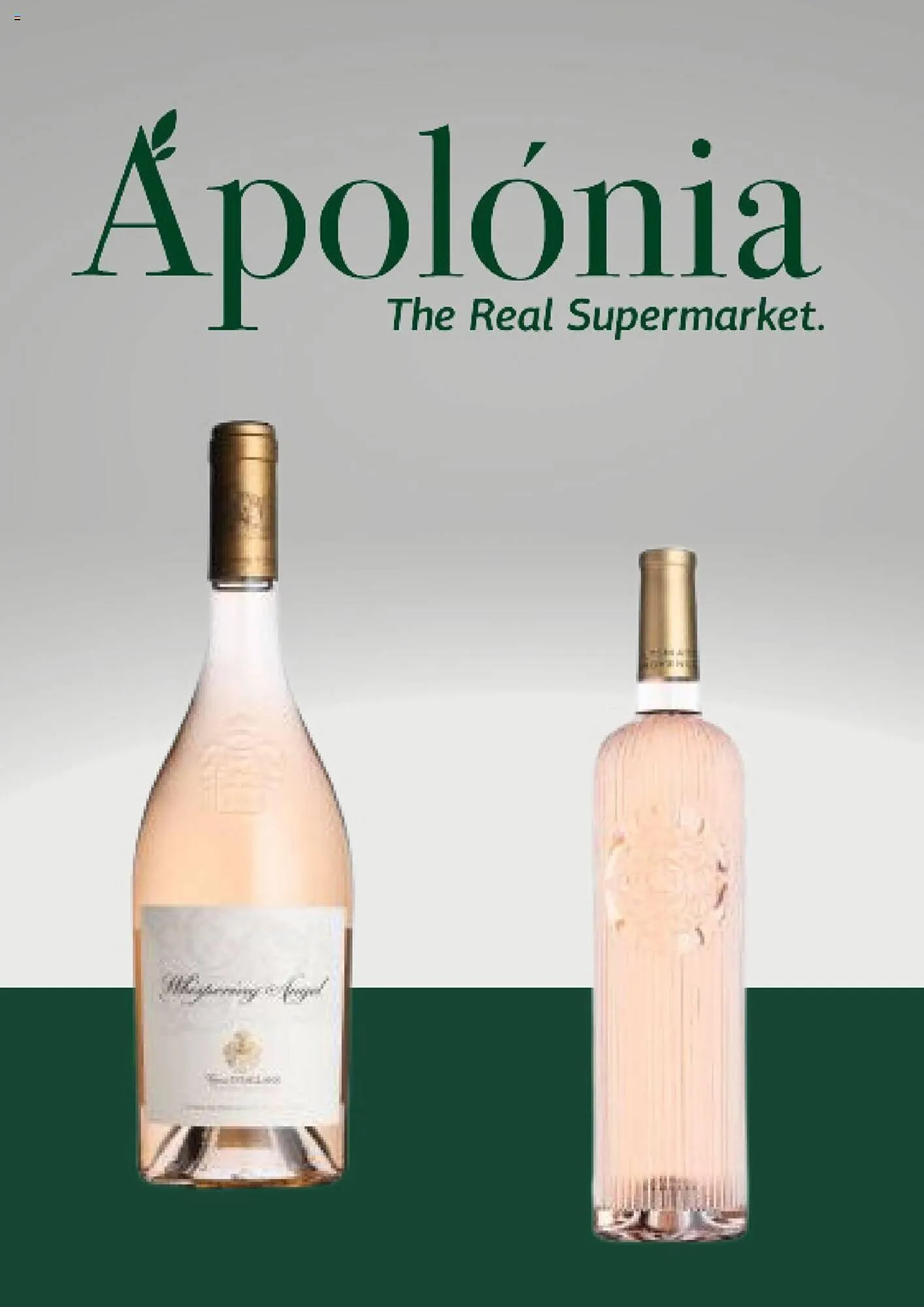 Folheto Apolónia - 1