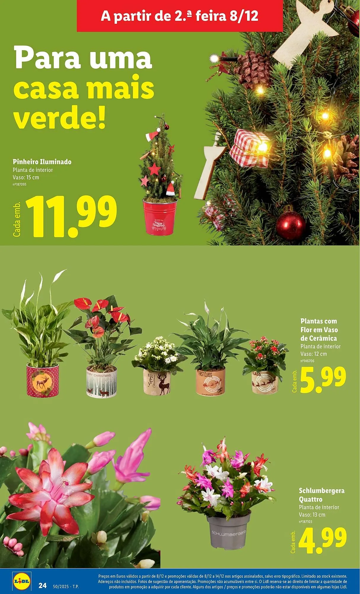 Folheto Folheto Lidl de 8 de dezembro até 14 de dezembro 2025 - Pagina 24