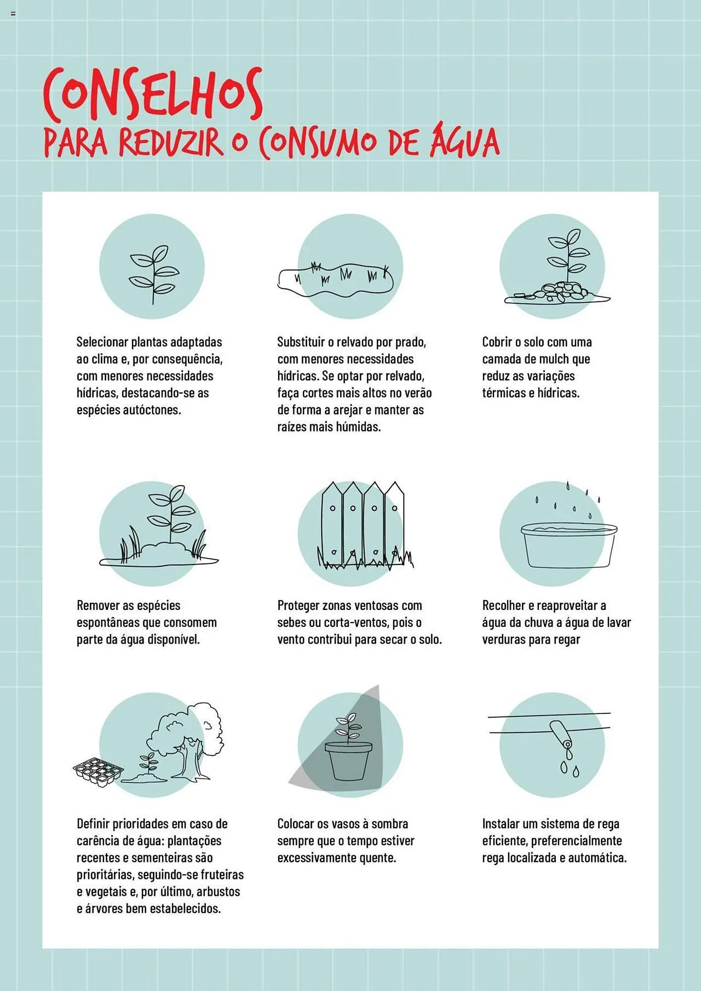 Folheto Folheto Bricomarché Rega de 17 de janeiro até 31 de dezembro 2024 - Pagina 6
