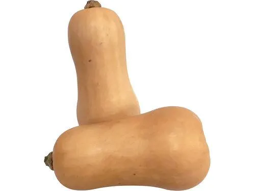 abóbora butternut auchan cultivamos o bom kg