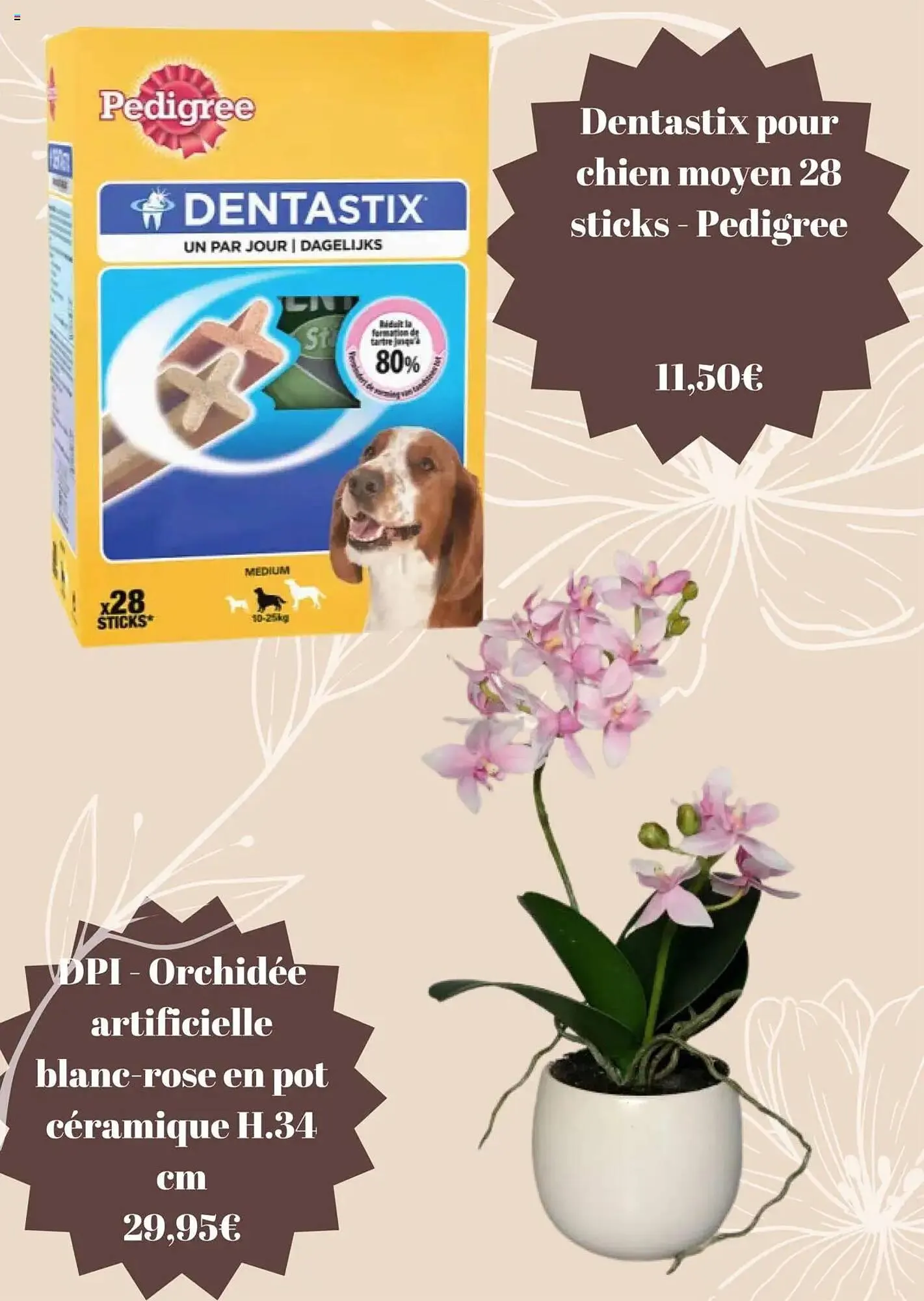 Folheto Folheto Jardiland de 3 de março até 3 de abril 2025 - Pagina 7