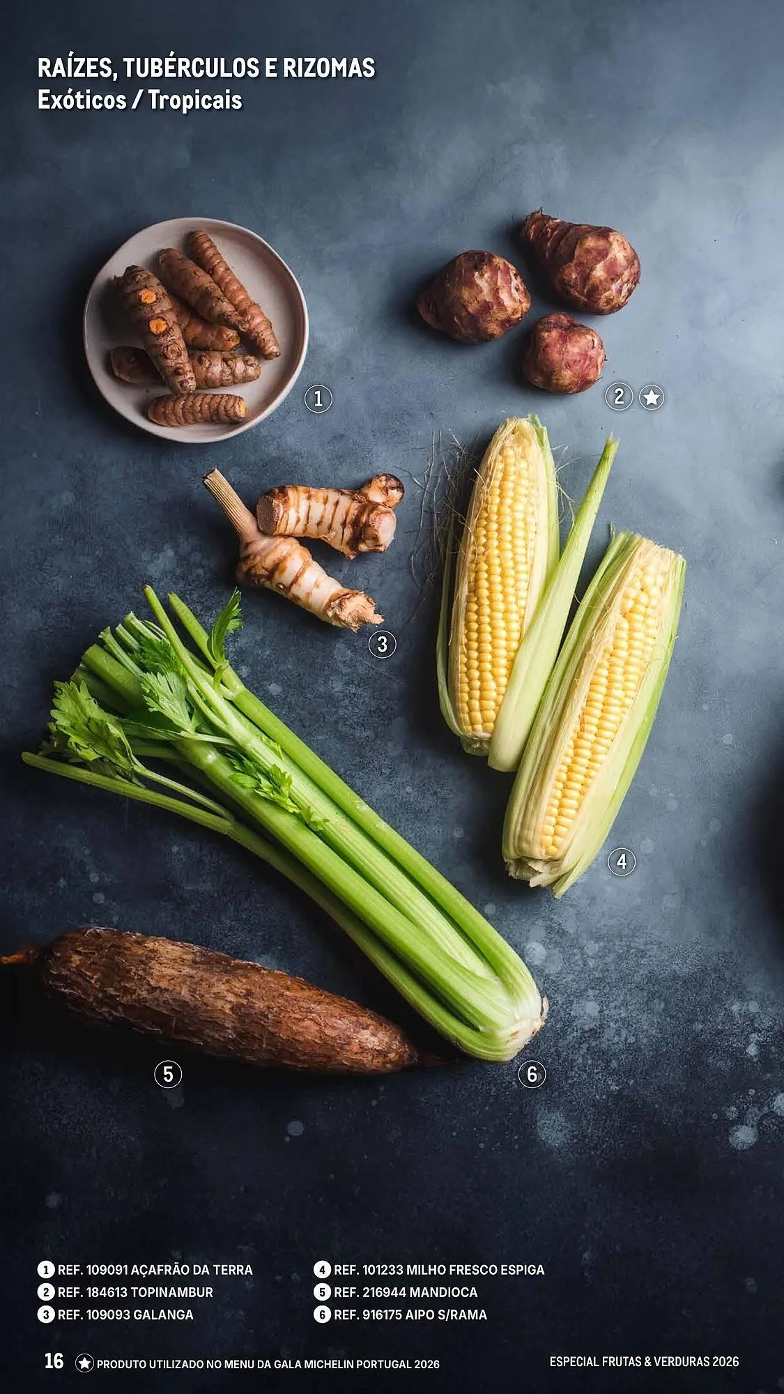 Folheto Catálogo Makro de 6 de março até 25 de abril 2026 - Pagina 16