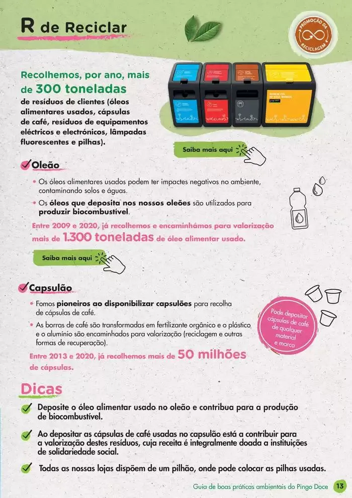 Folheto Pingo Doce Guia de Boas Práticas Ambientais de 17 de dezembro até 17 de janeiro 2025 - Pagina 13