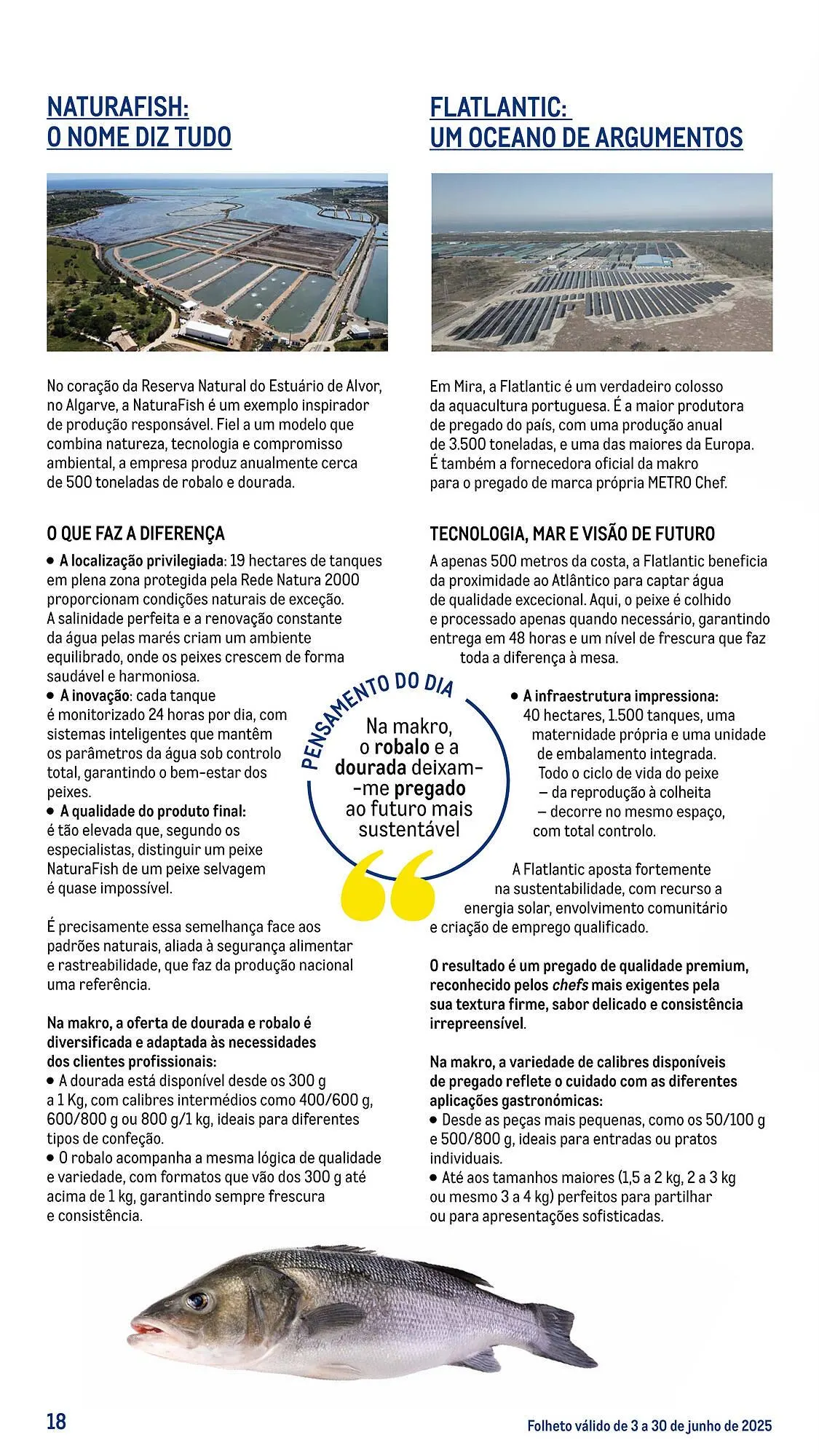Folheto Folheto Makro de 3 de junho até 30 de junho 2025 - Pagina 18