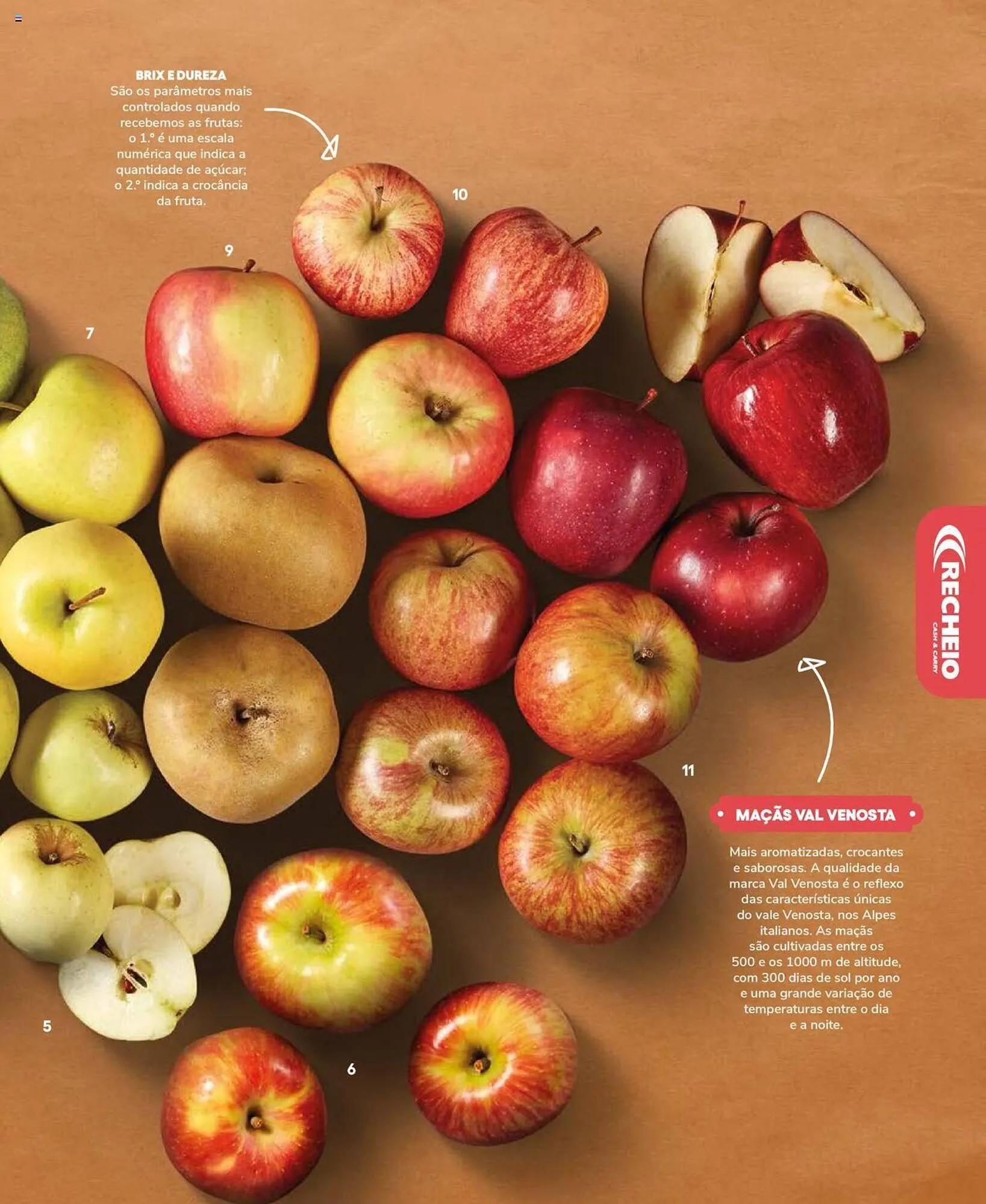 Folheto Folheto Recheio de 19 de setembro até 31 de dezembro 2025 - Pagina 67