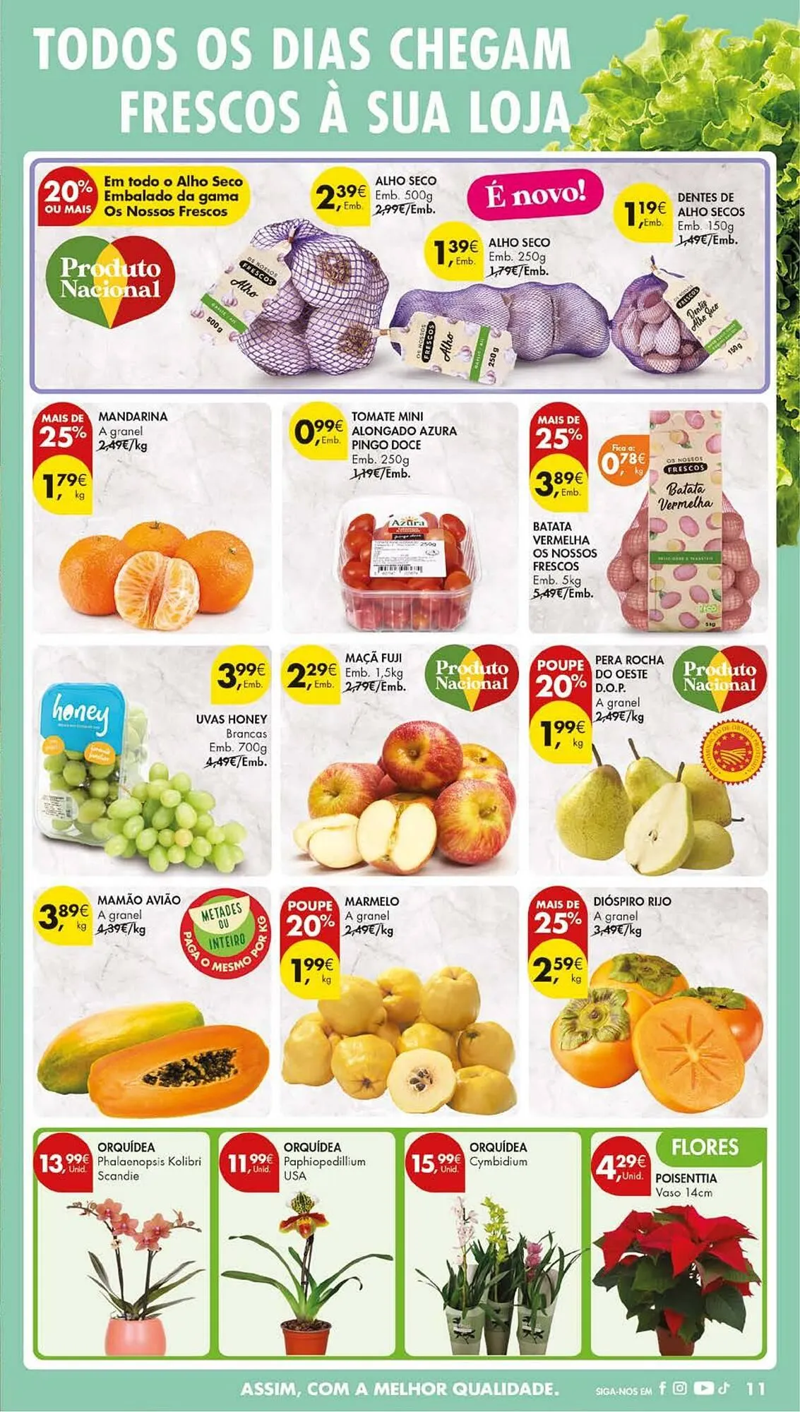 Folheto Folheto Pingo Doce de 2 de dezembro até 8 de dezembro 2025 - Pagina 13