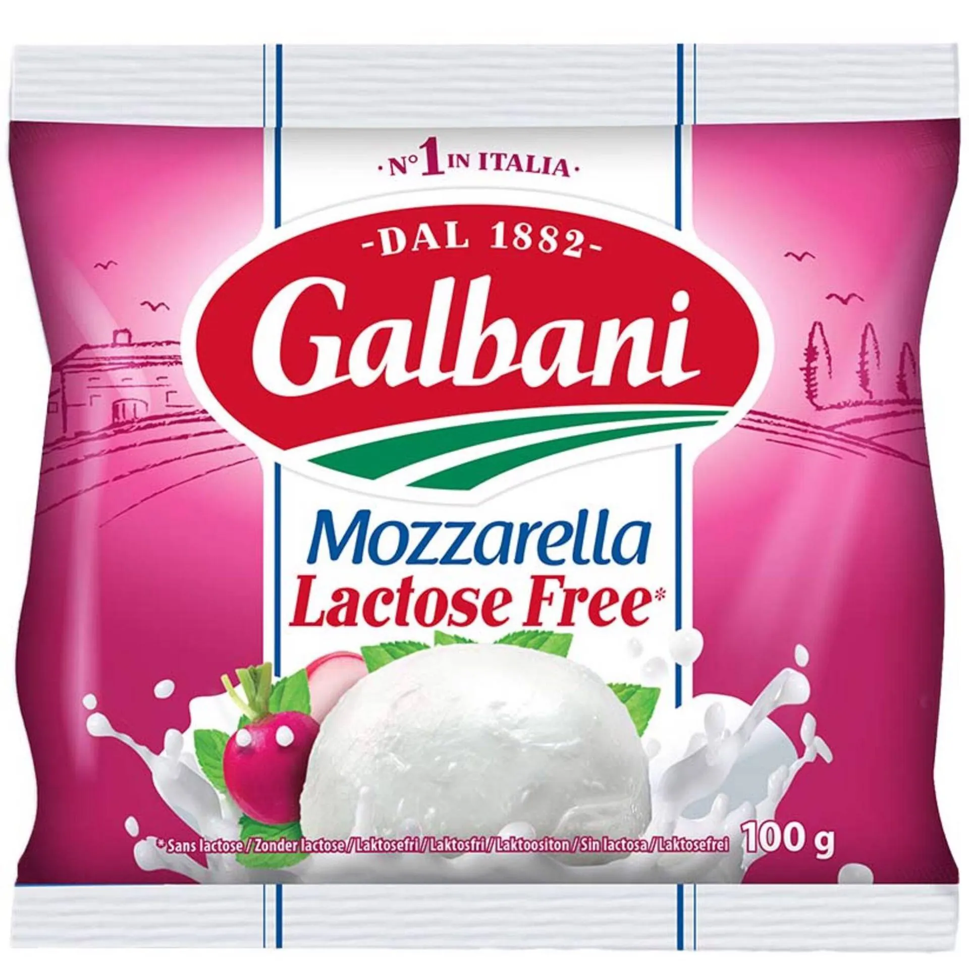 Queijo Mozzarella sem Lactose