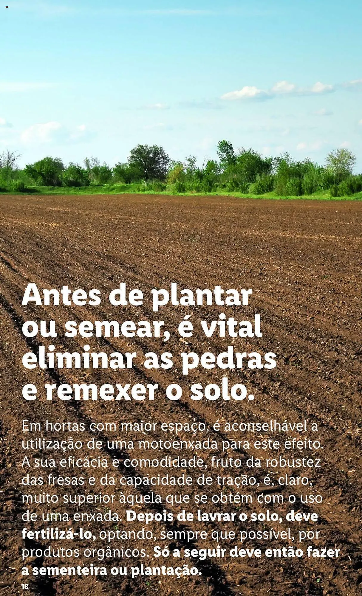 Folheto Folheto Lidl de 4 de março até 31 de março 2024 - Pagina 18