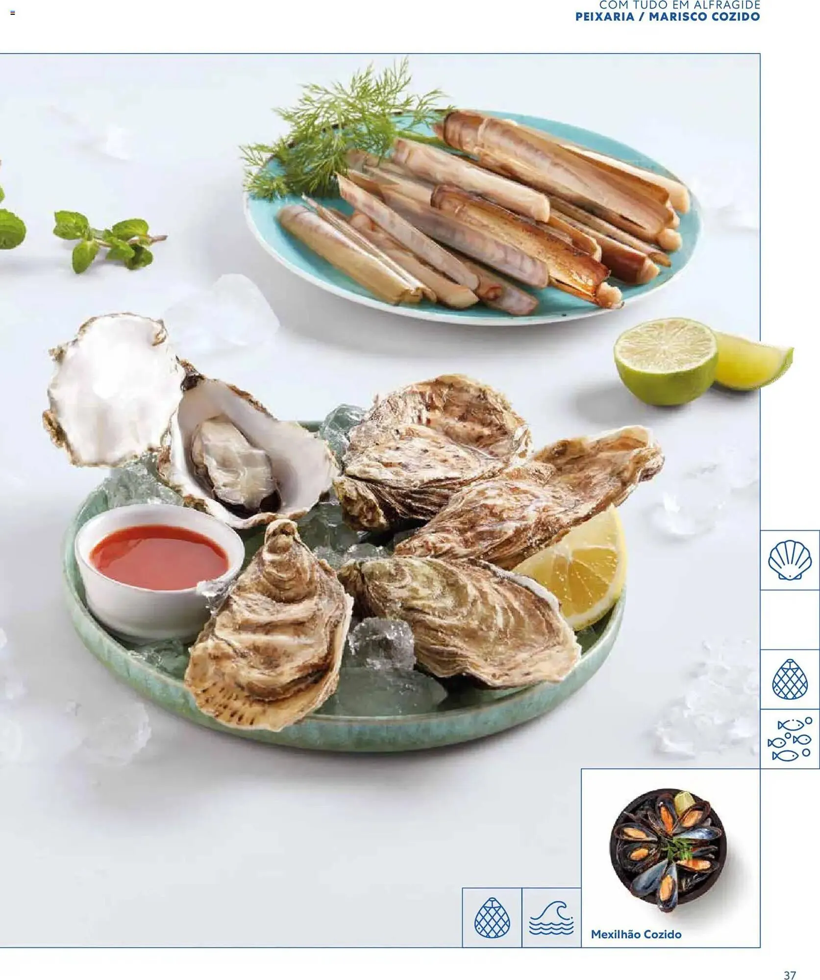 Folheto Folheto Recheio de 16 de março até 1 de janeiro 2027 - Pagina 37