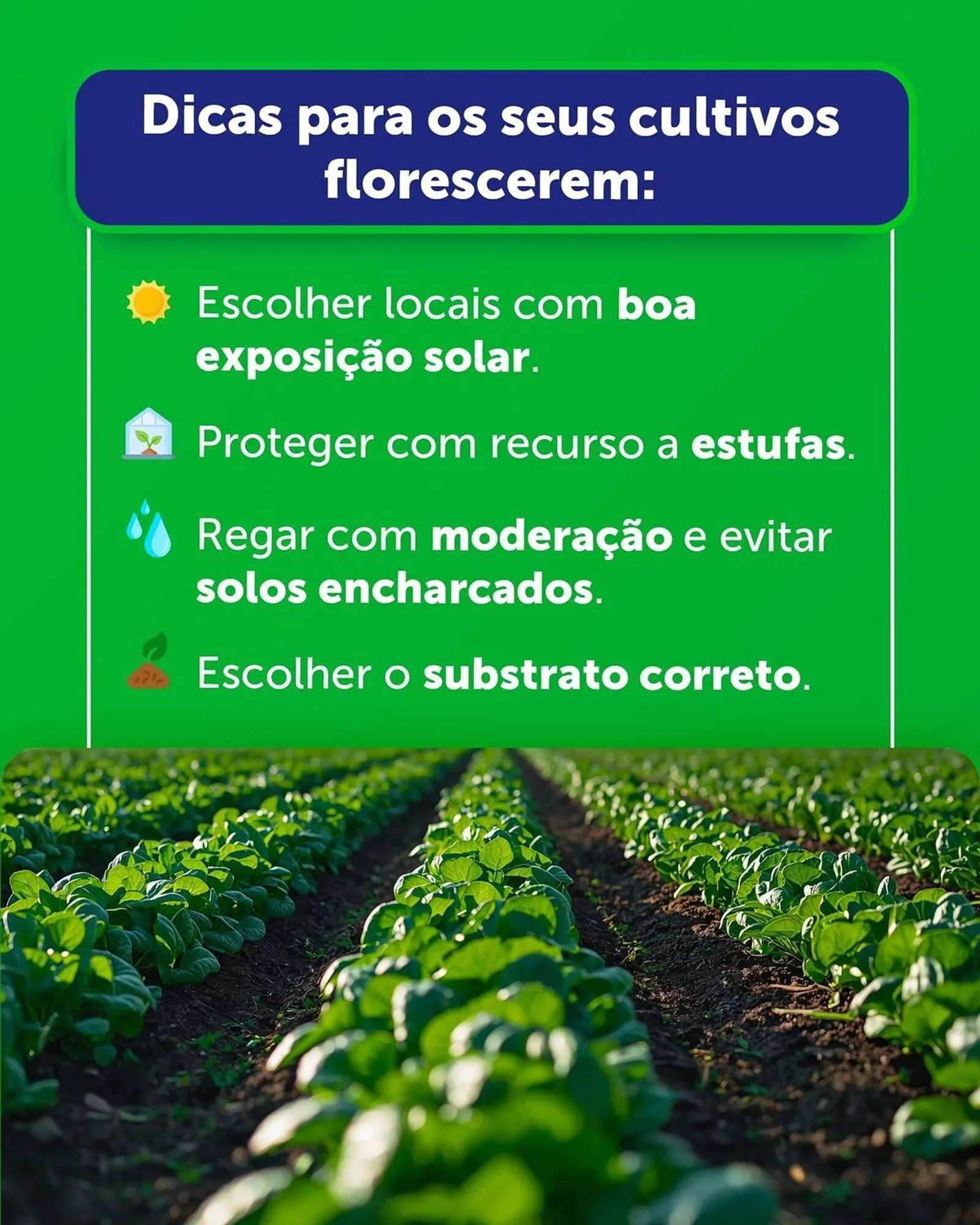 Folheto Folheto Agriloja de 9 de fevereiro até 22 de fevereiro 2026 - Pagina 6