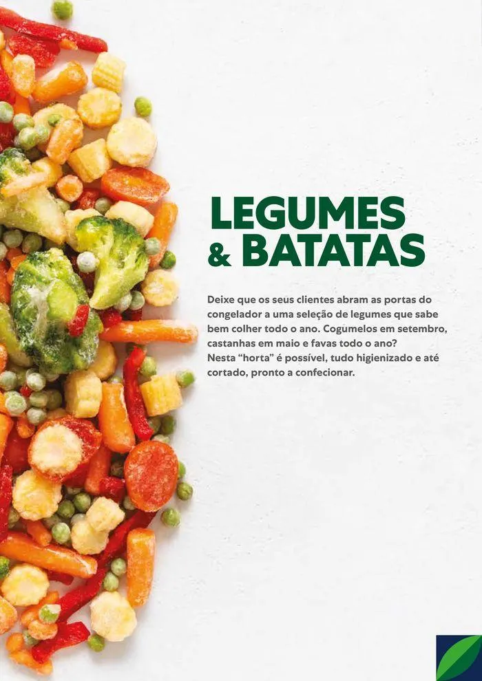 Folheto Recheio Congelados de 20 de agosto até 31 de dezembro 2024 - Pagina 4