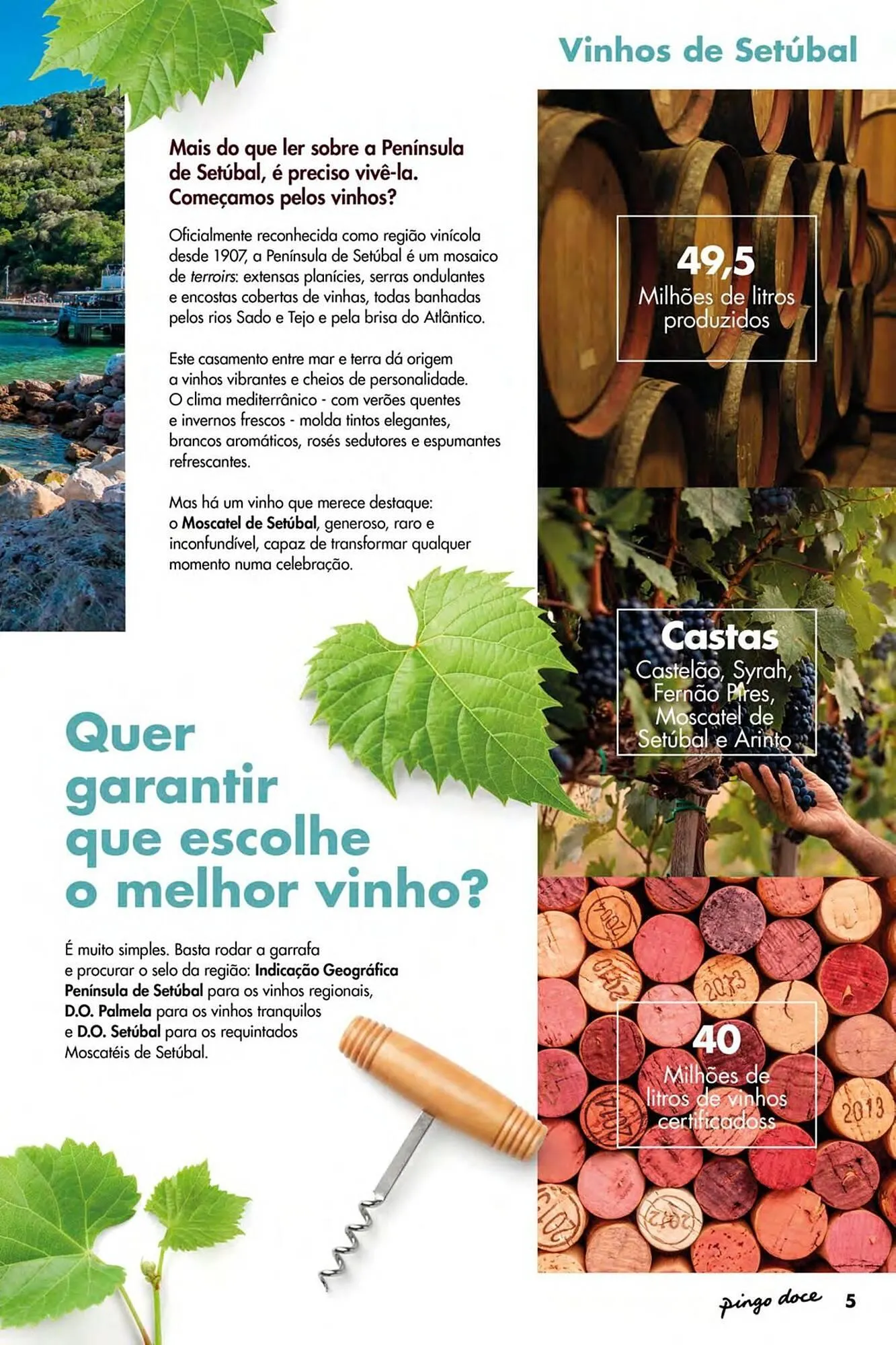 Folheto Folheto Pingo Doce de 8 de maio até 27 de maio 2026 - Pagina 5