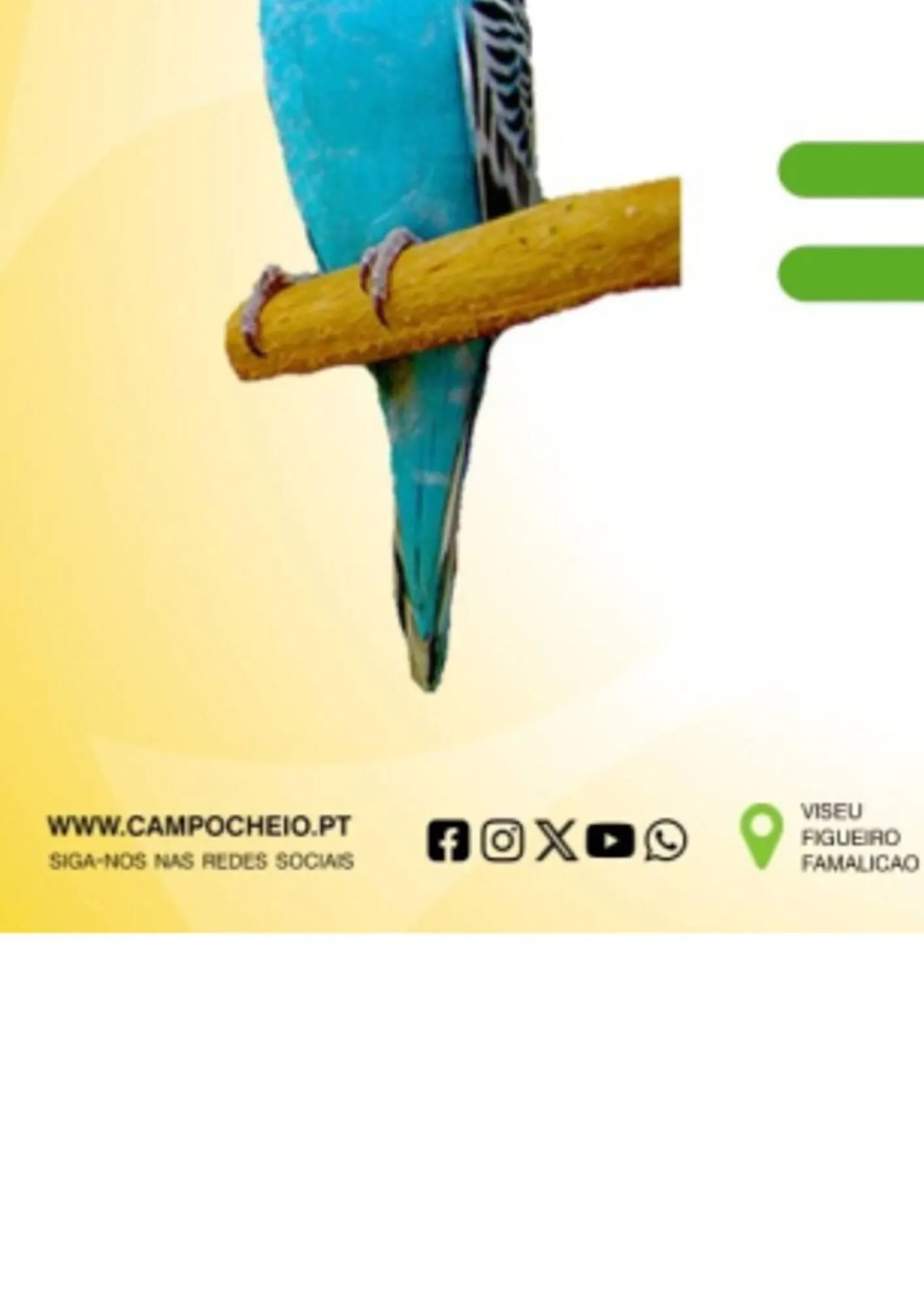 Folheto Folheto CAMPOCHEIO de 13 de outubro até 22 de novembro 2025 - Pagina 14