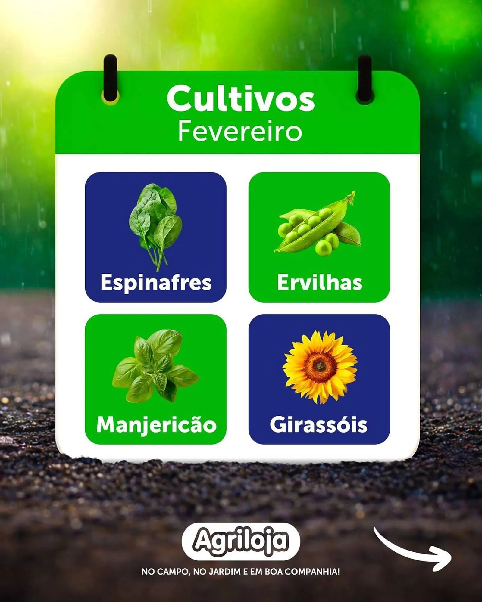 Folheto Folheto Agriloja de 9 de fevereiro até 22 de fevereiro 2026 - Pagina 4