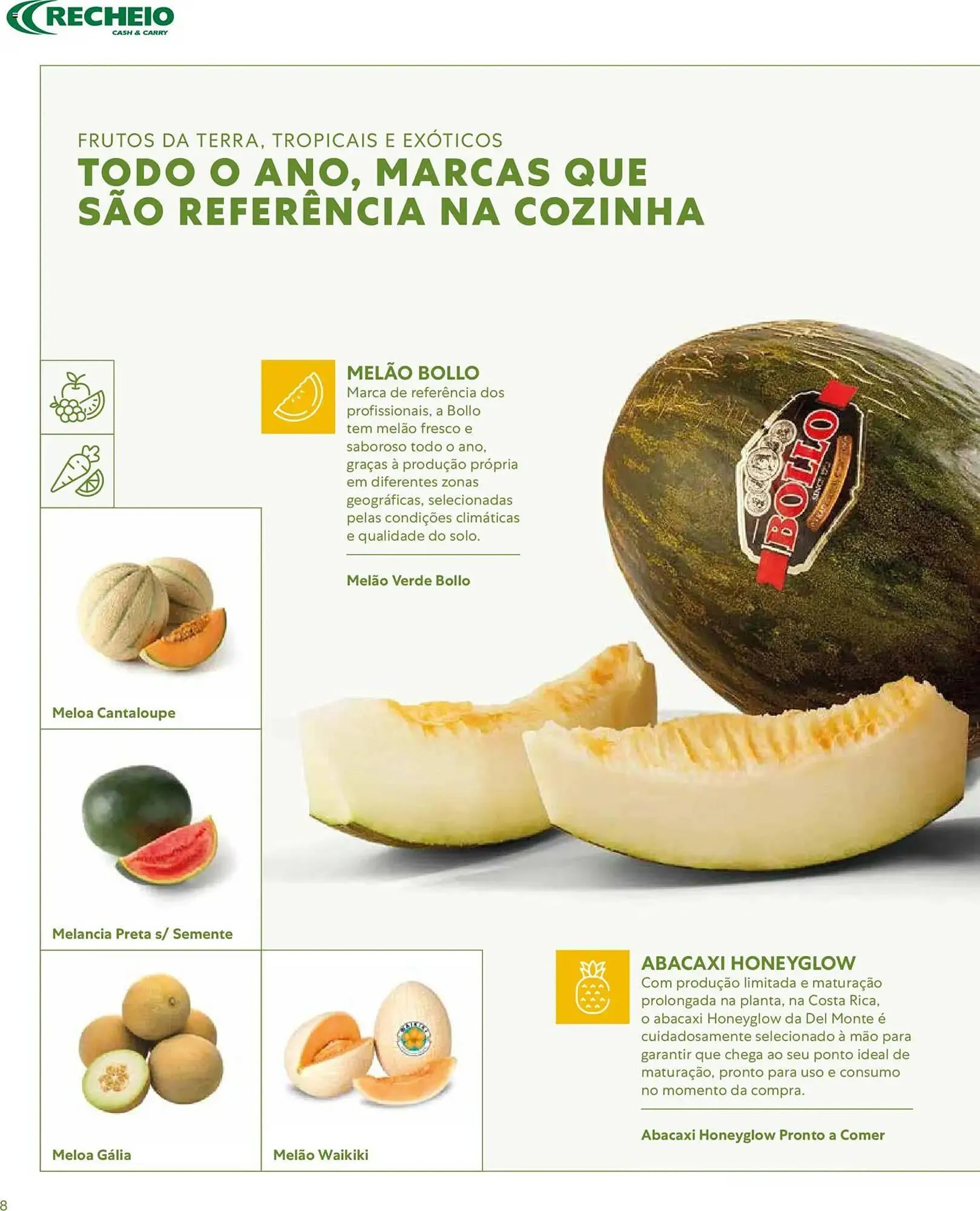 Folheto Folheto Recheio de 16 de março até 1 de janeiro 2027 - Pagina 8