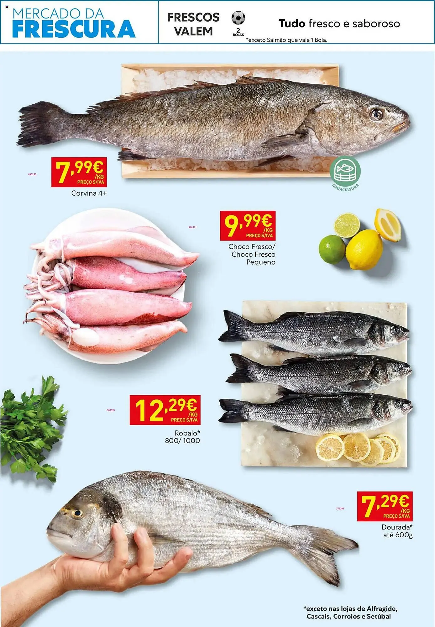 Folheto Folheto Recheio de 10 de março até 17 de março 2026 - Pagina 10