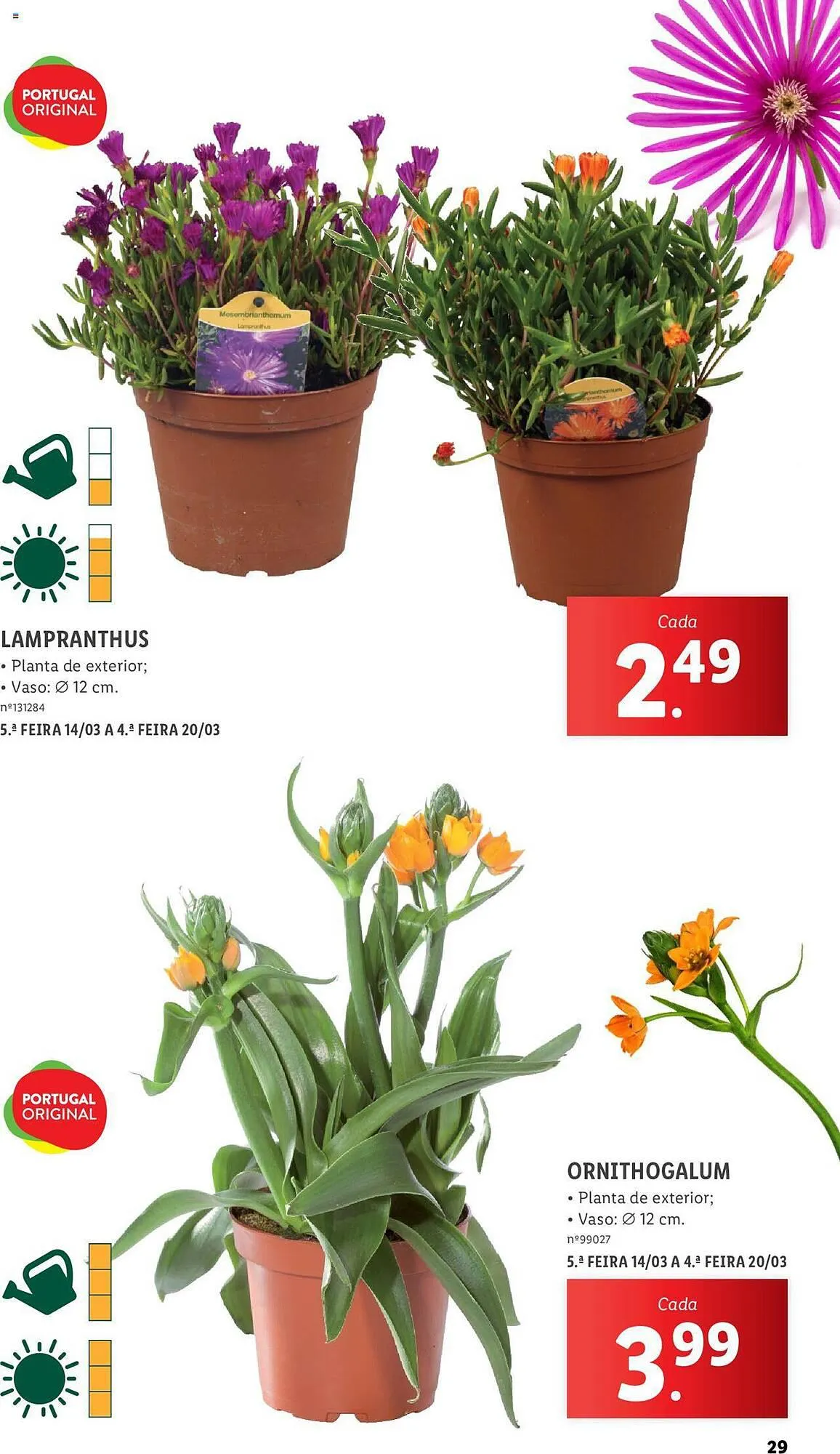 Folheto Folheto Lidl de 4 de março até 31 de março 2024 - Pagina 29