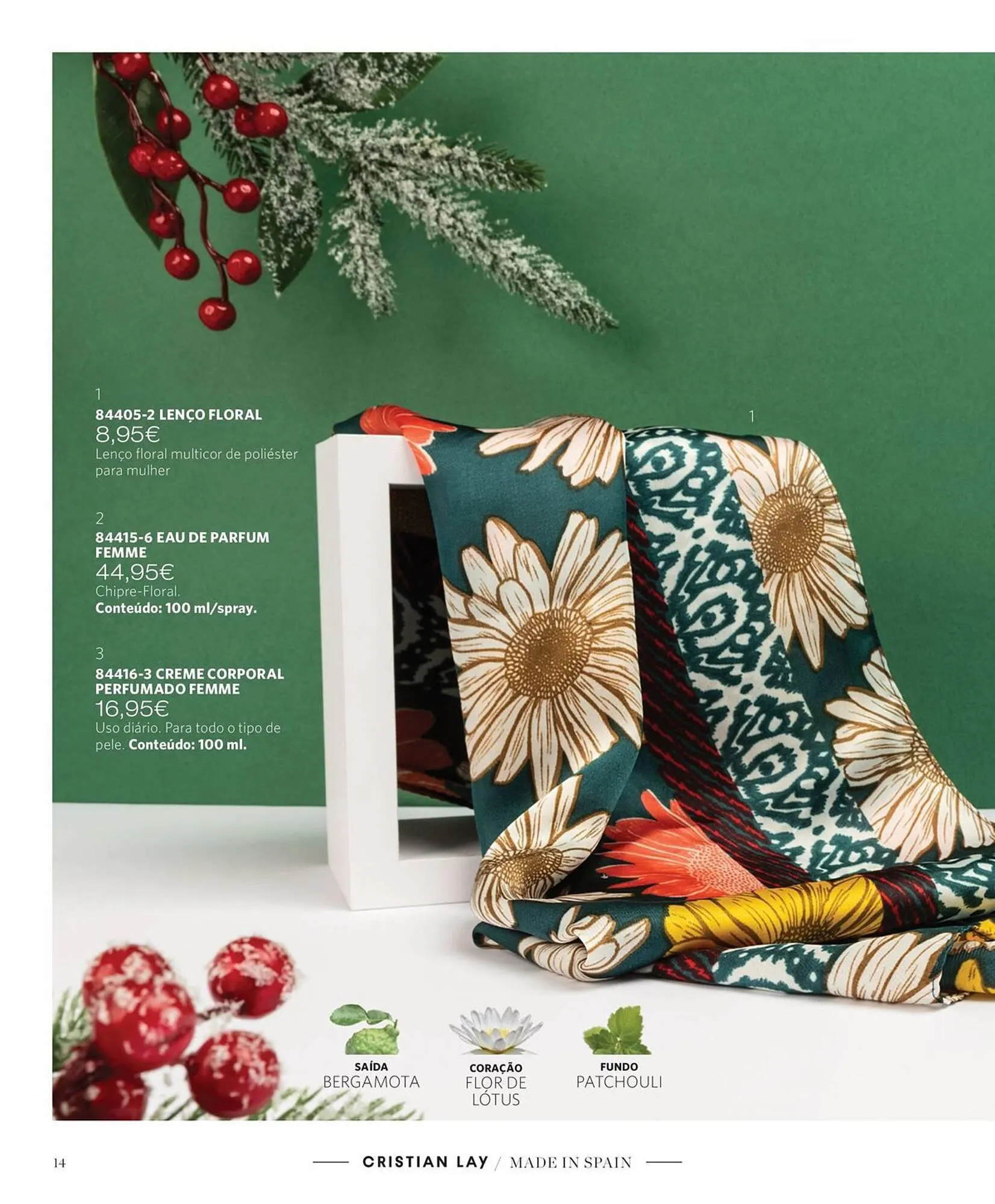 Folheto Folheto Cristian Lay de 13 de novembro até 3 de dezembro 2023 - Pagina 14