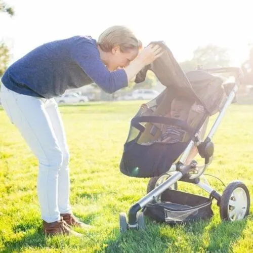 Prince Lionheart Rede Mosquiteira Universal para Carrinho 0357