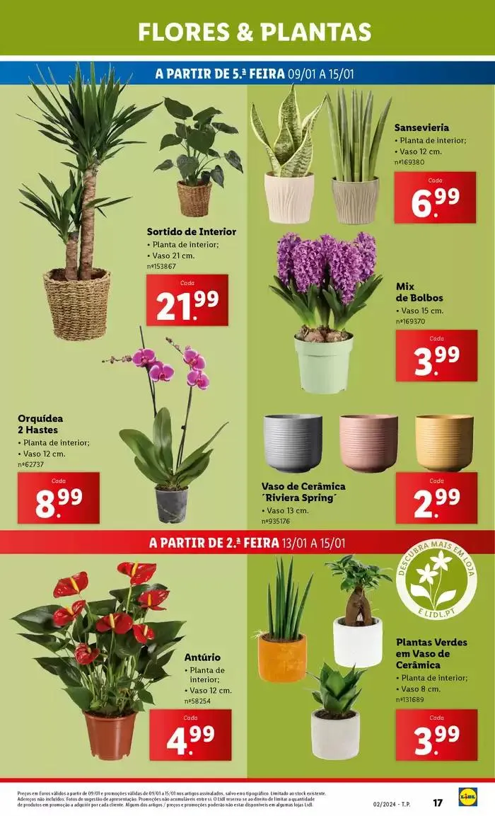 Folheto Melhores ofertas para todos os caçadores de pechinchas de 9 de janeiro até 15 de janeiro 2025 - Pagina 17