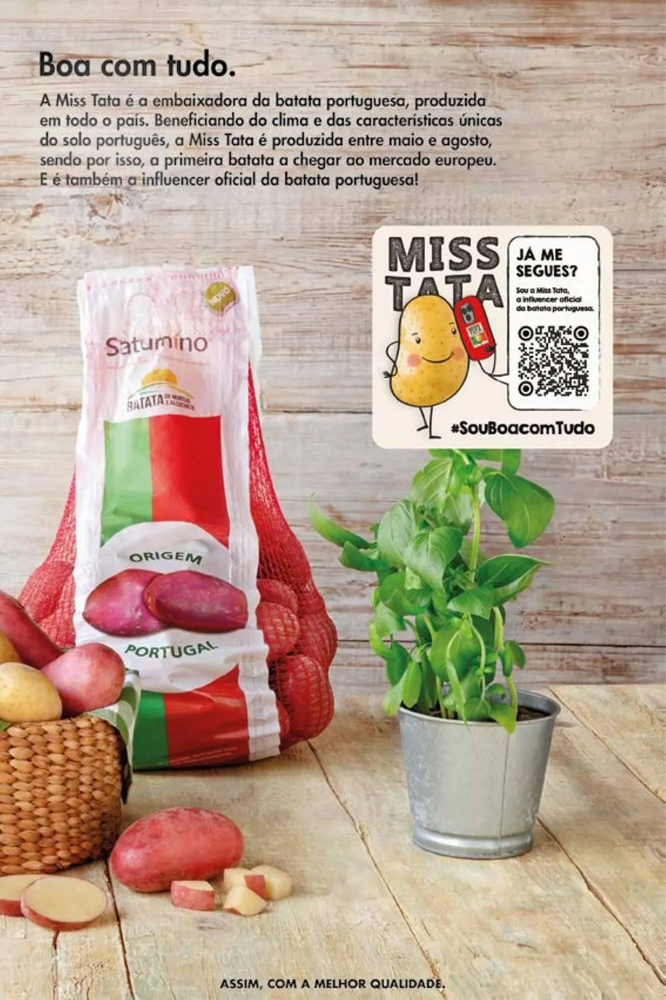 Folheto Folheto Pingo Doce de 23 de maio até 26 de maio 2025 - Pagina 11