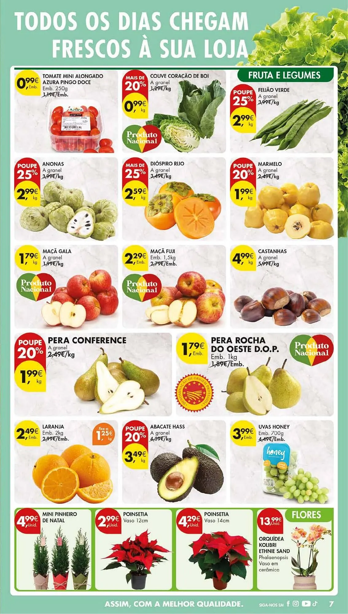 Folheto Folheto Pingo Doce de 4 de novembro até 10 de novembro 2025 - Pagina 13