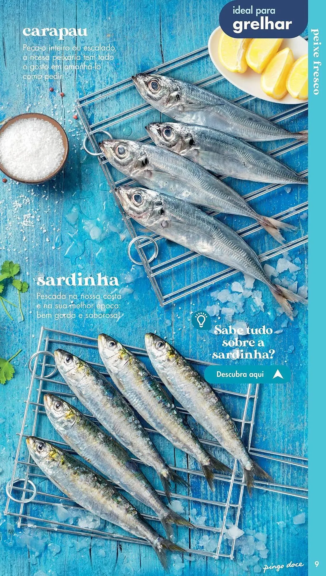 Folheto Folheto Pingo Doce de 10 de setembro até 31 de maio 2025 - Pagina 9