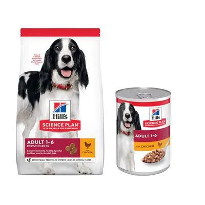 Hill's Science Plan ração para cães + 6 x 370 g comida húmida grátis!