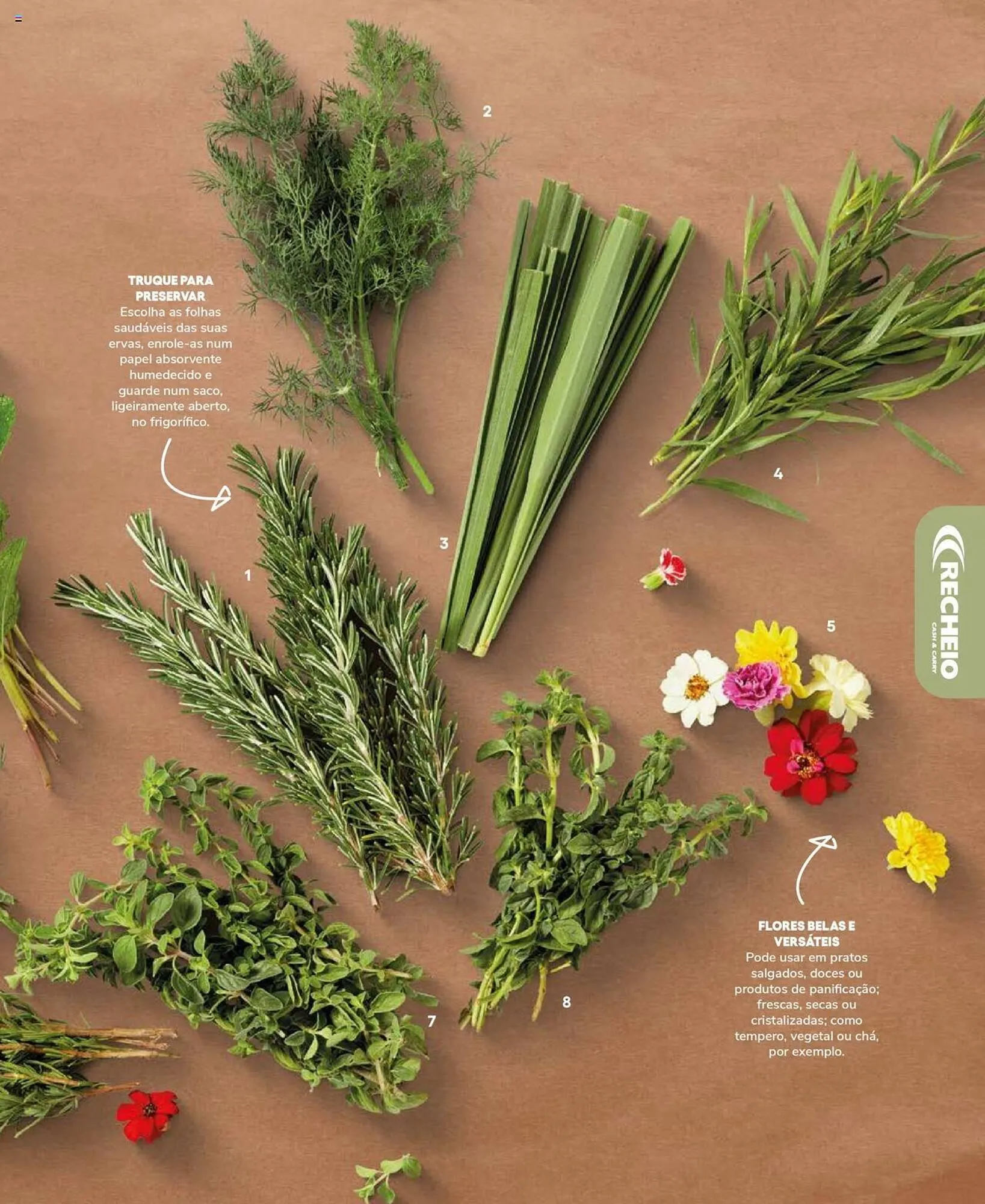 Folheto Folheto Recheio de 19 de setembro até 31 de dezembro 2025 - Pagina 61