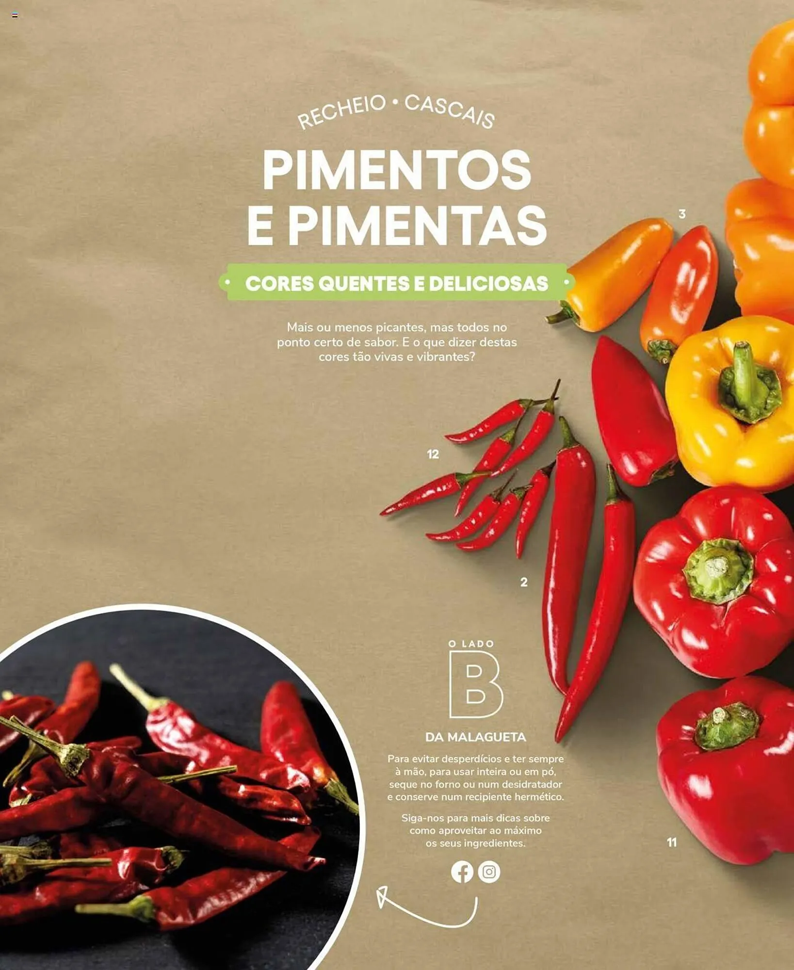 Folheto Folheto Recheio de 19 de setembro até 31 de dezembro 2025 - Pagina 18