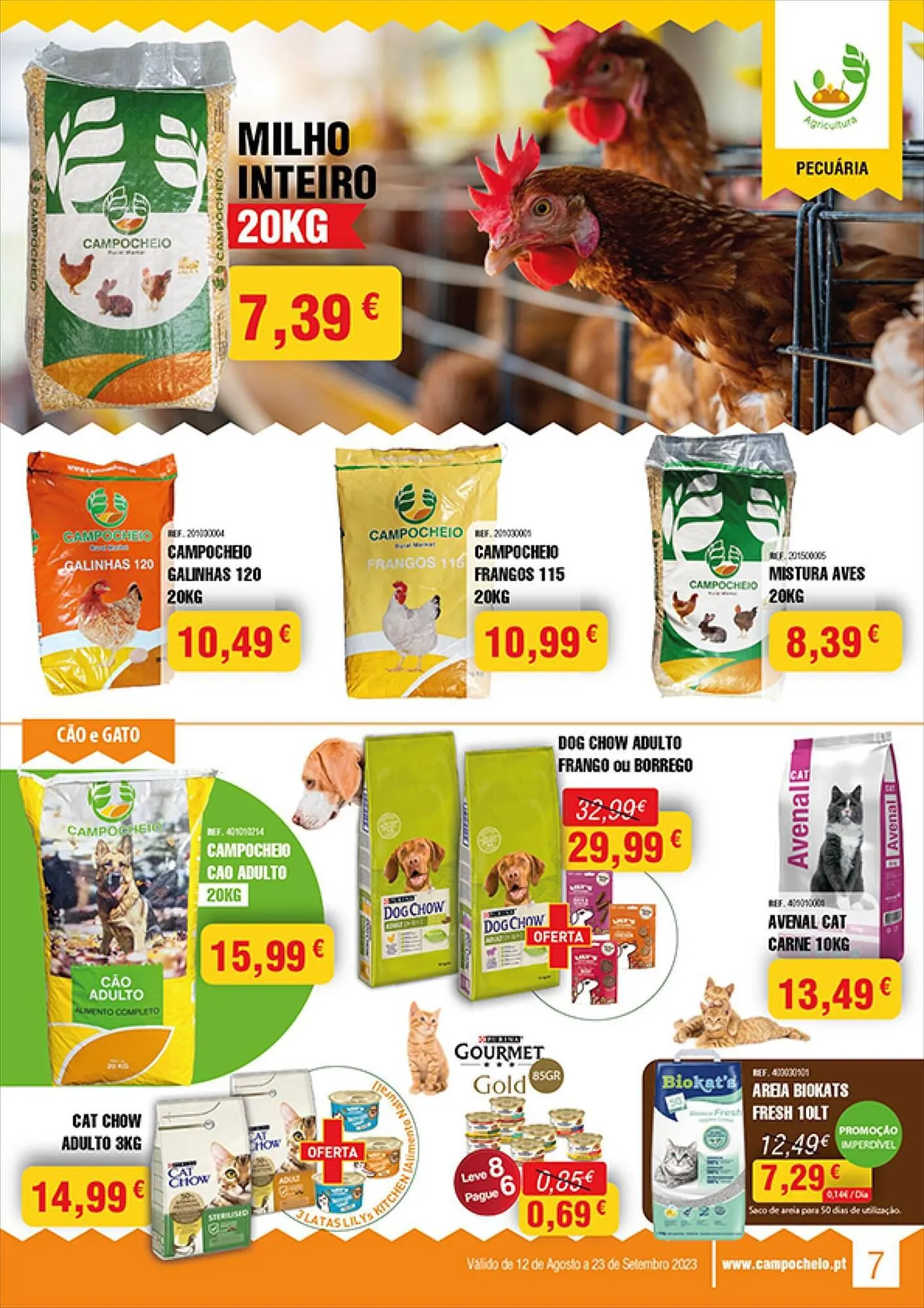 Folheto Folheto CAMPOCHEIO de 31 de julho até 3 de agosto 2023 - Pagina 7