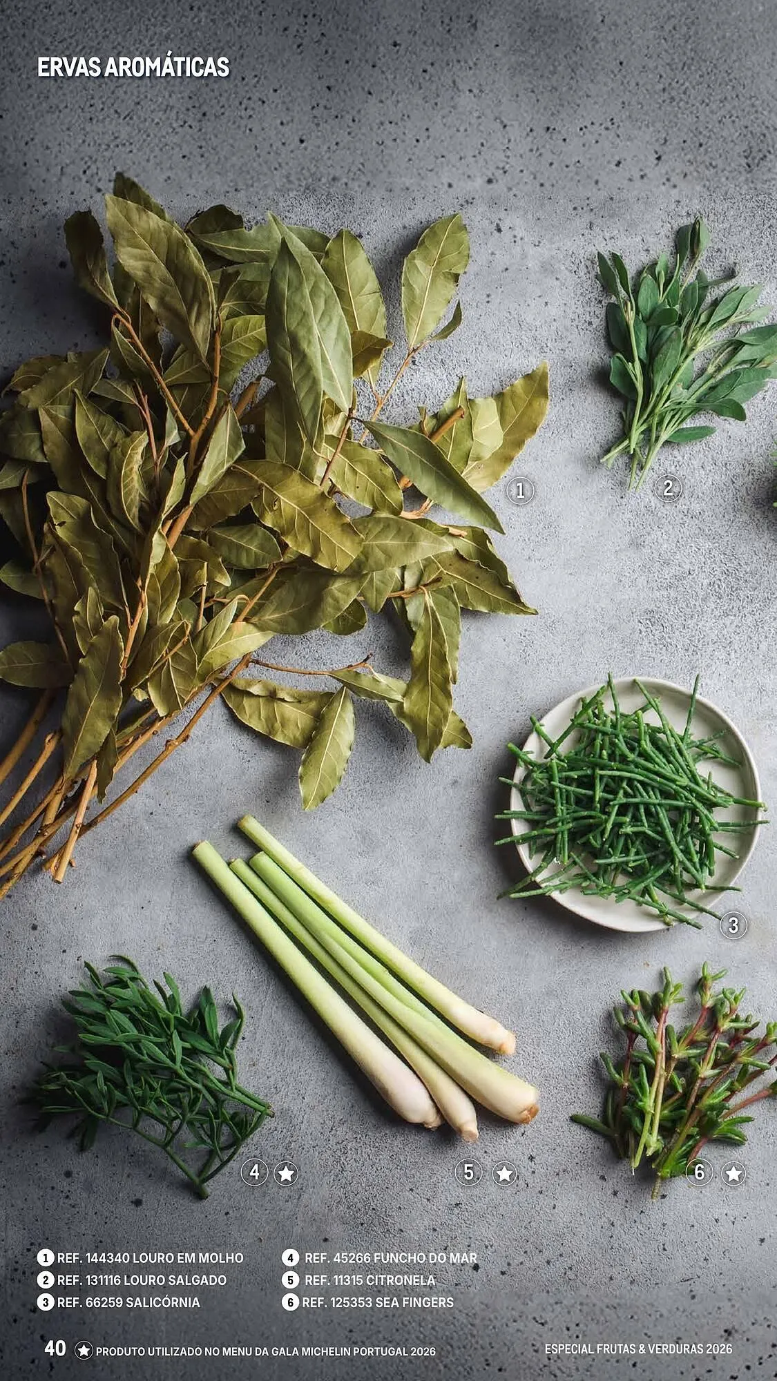 Folheto Catálogo Makro de 6 de março até 25 de abril 2026 - Pagina 40