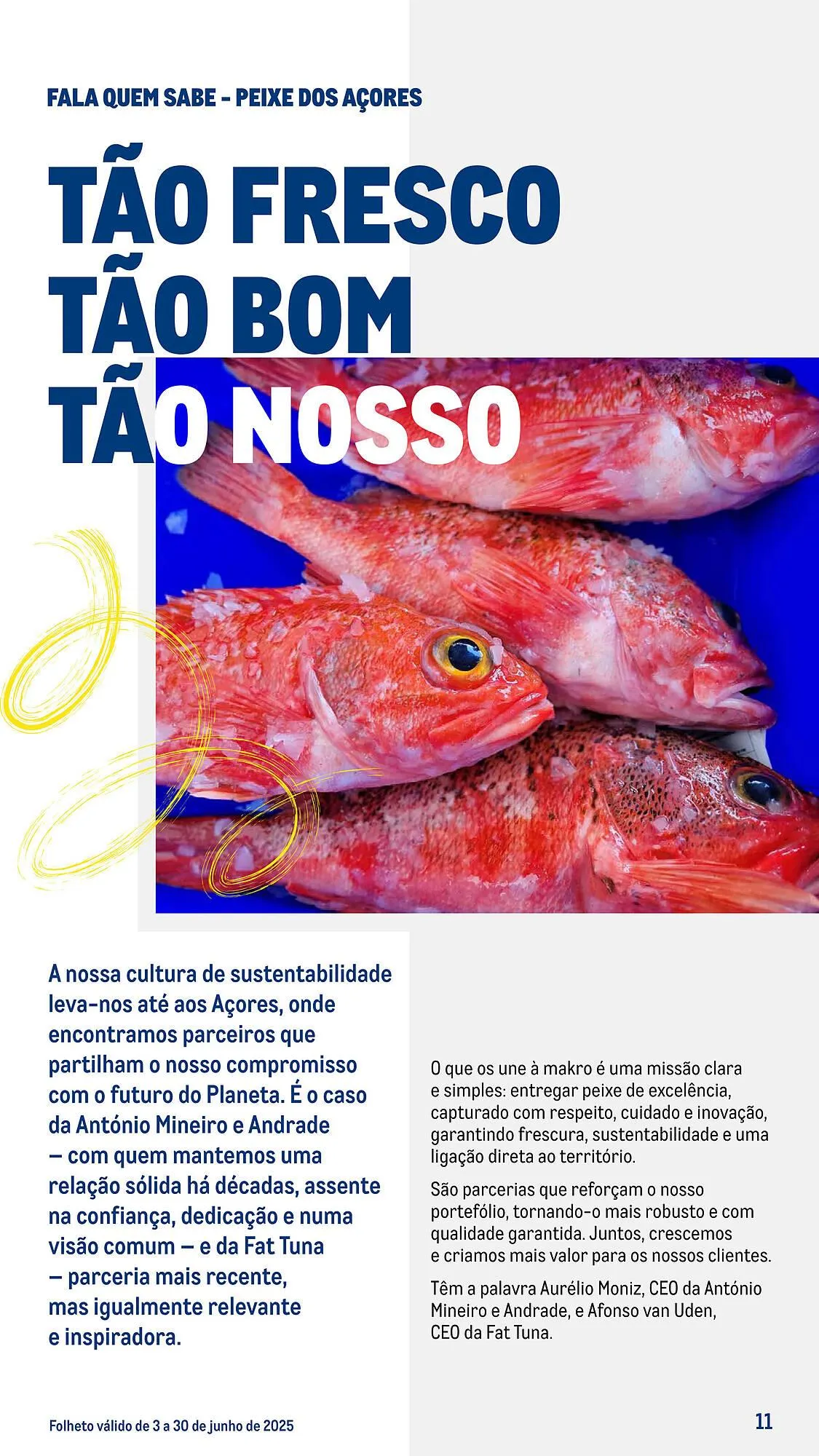 Folheto Folheto Makro de 3 de junho até 30 de junho 2025 - Pagina 11