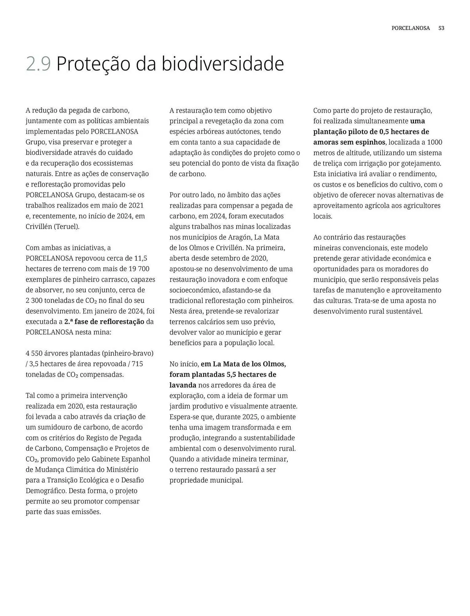 Folheto Catálogo Porcelanosa de 7 de janeiro até 31 de dezembro 2026 - Pagina 53