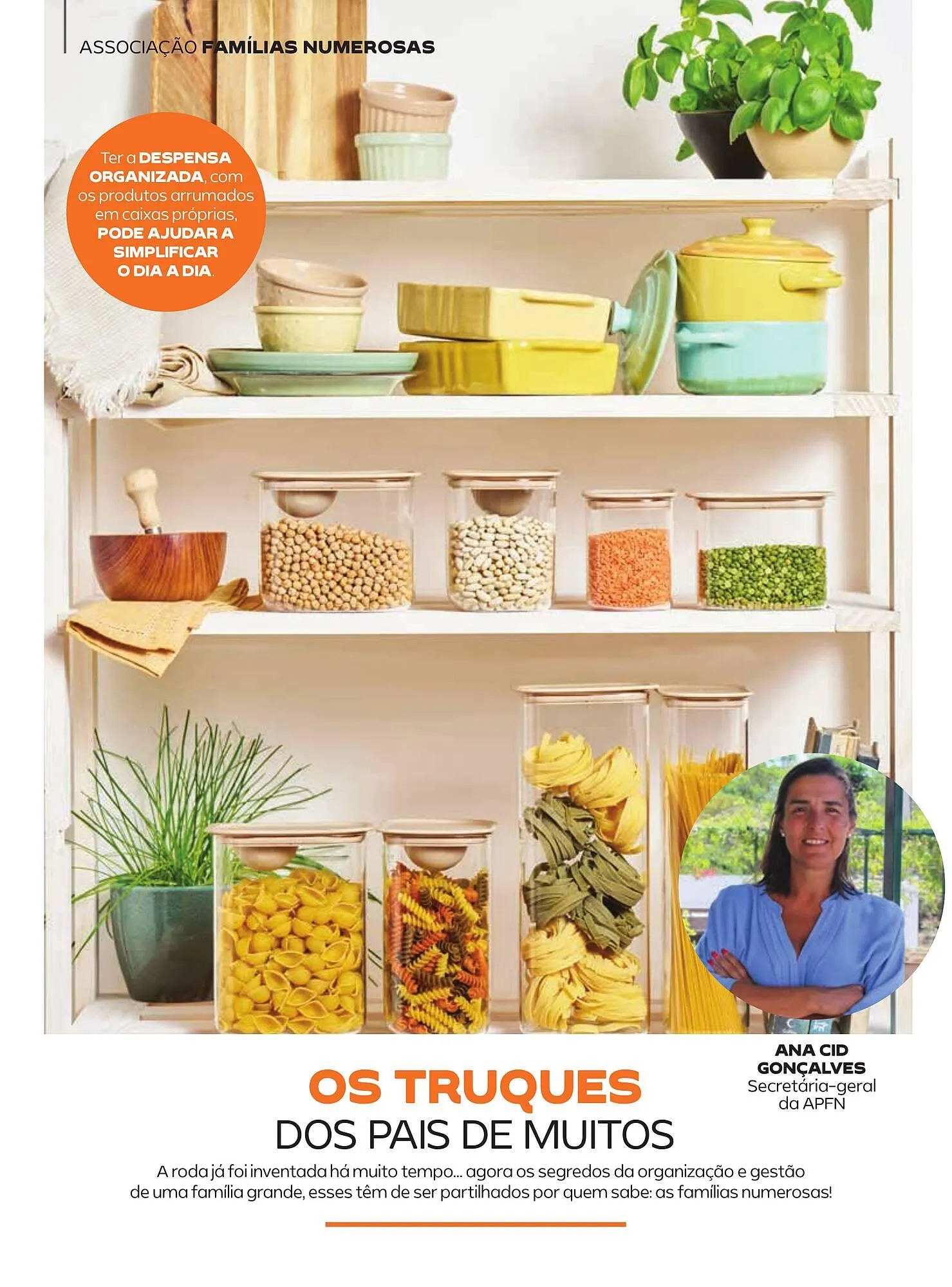 Folheto Folheto Continente de 8 de abril até 8 de julho 2025 - Pagina 35