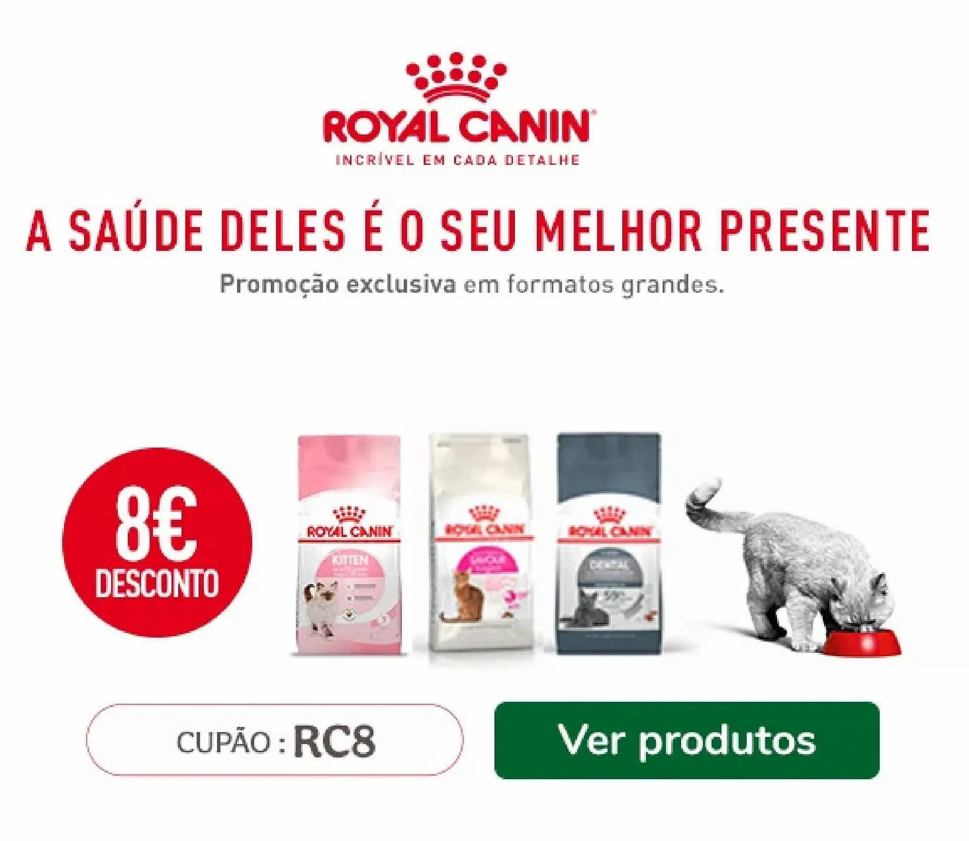 Folheto Folheto TiendAnimal de 25 de julho até 8 de agosto 2023 - Pagina 2