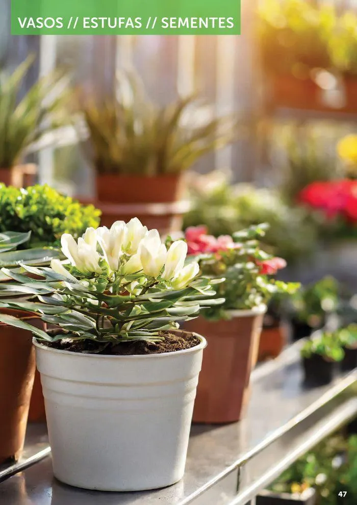 Folheto Folheto Agriloja de 3 de junho até 31 de dezembro 2024 - Pagina 47