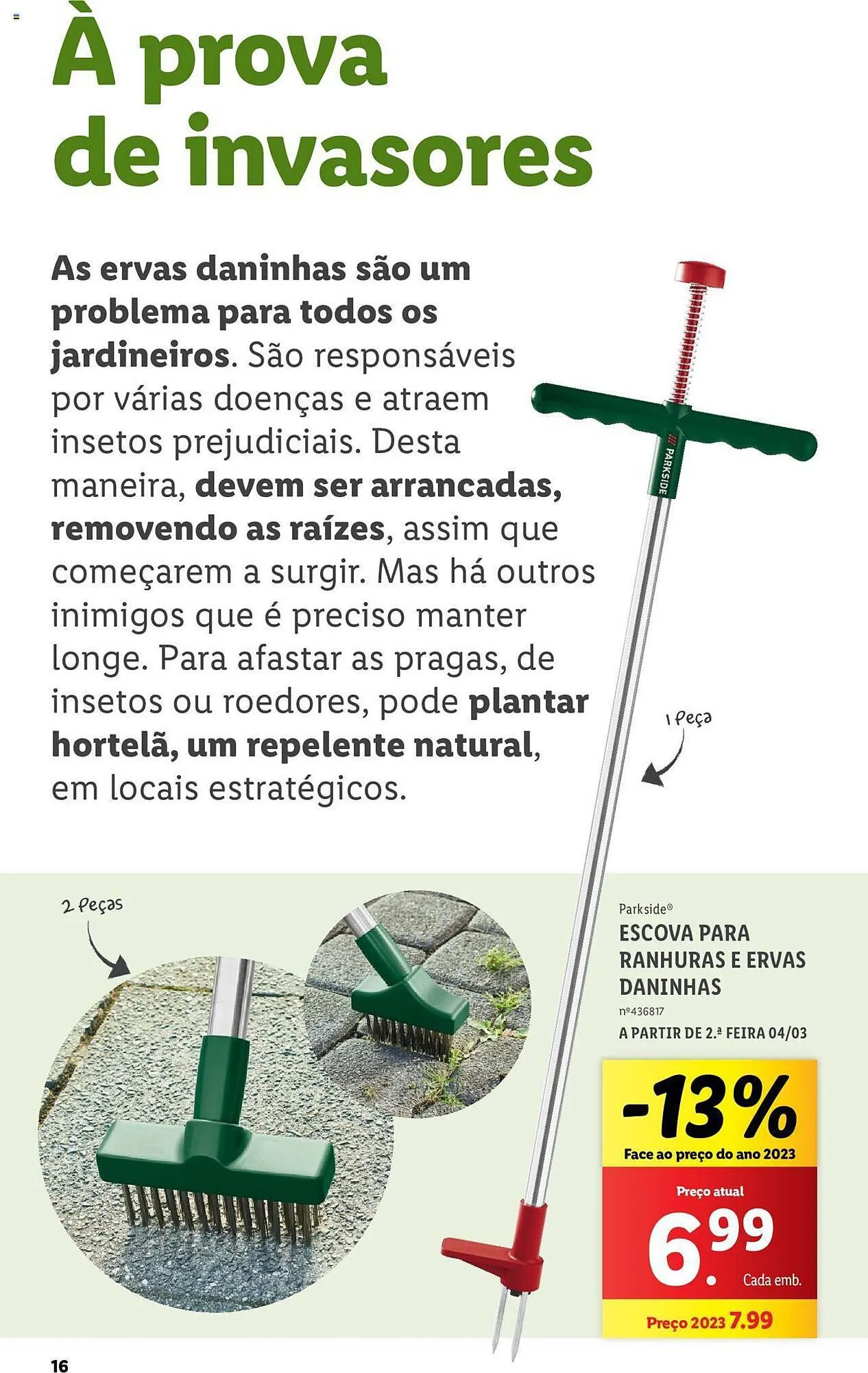 Folheto Folheto Lidl de 4 de março até 31 de março 2024 - Pagina 16