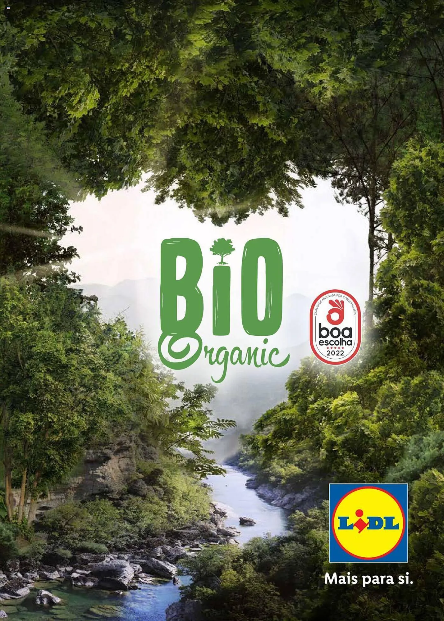 Folheto Folheto Lidl de 5 de janeiro até 1 de janeiro 2025 - Pagina 100